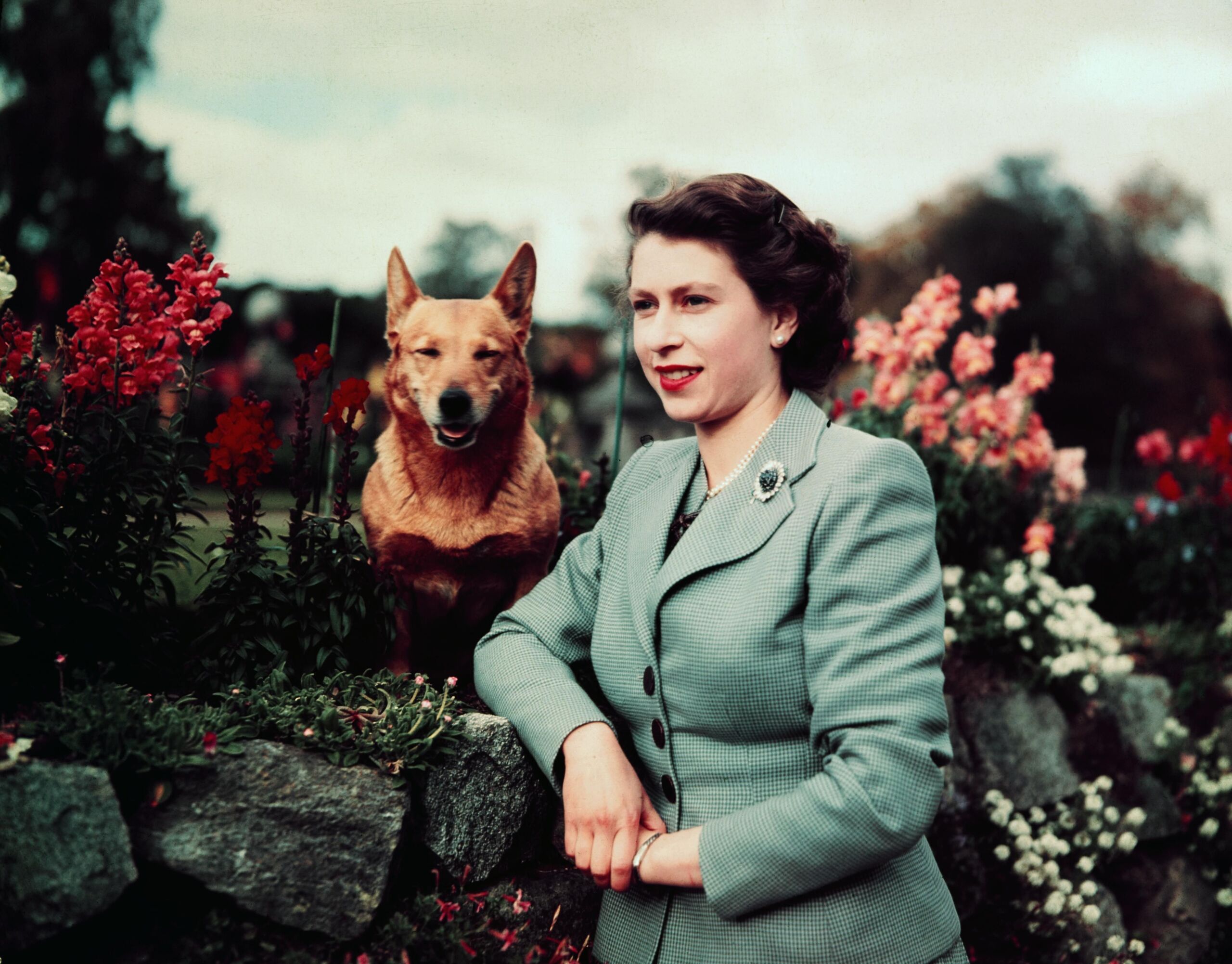 Getty Images