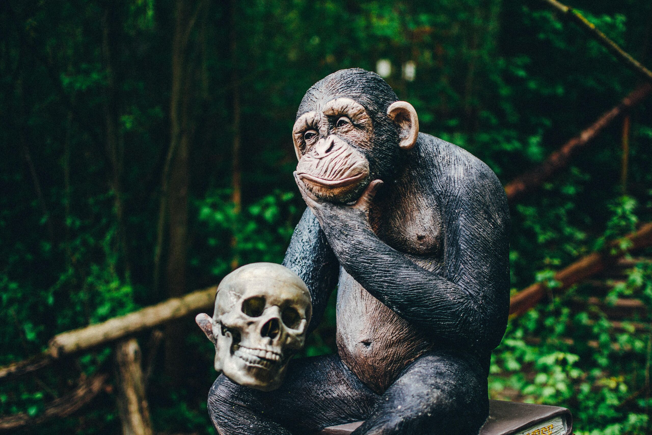 Photo by Sebastian Hages on Unsplash