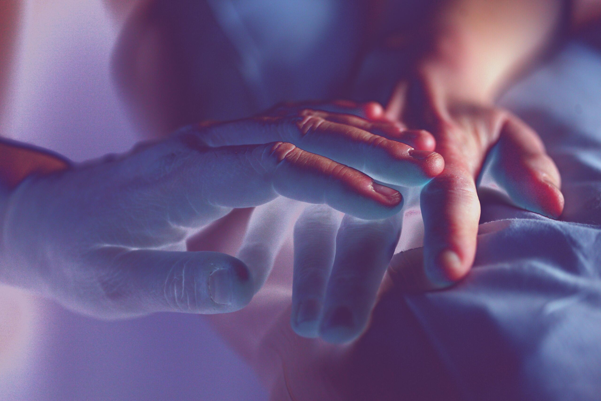 Unsplash/Sharon McCutcheon