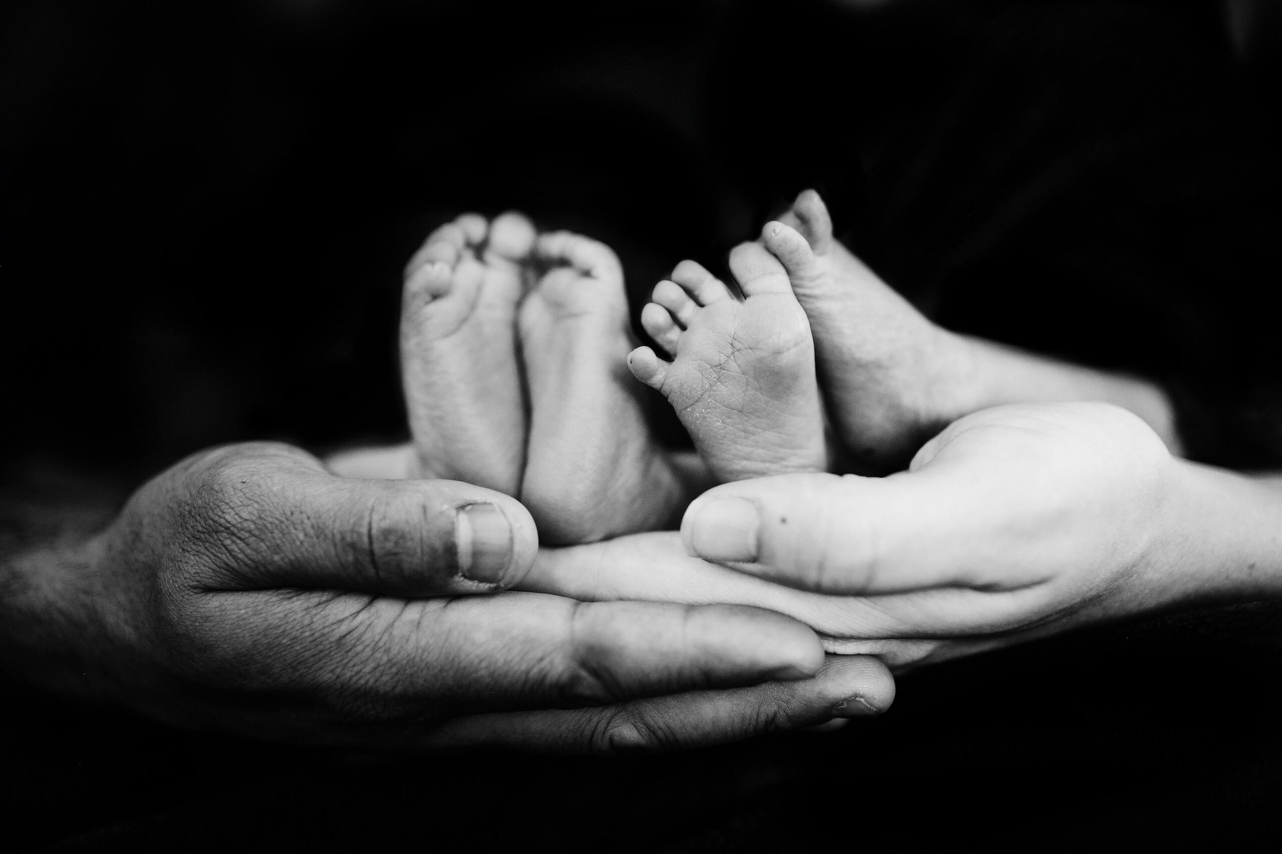 Unsplash/Fallon Michael