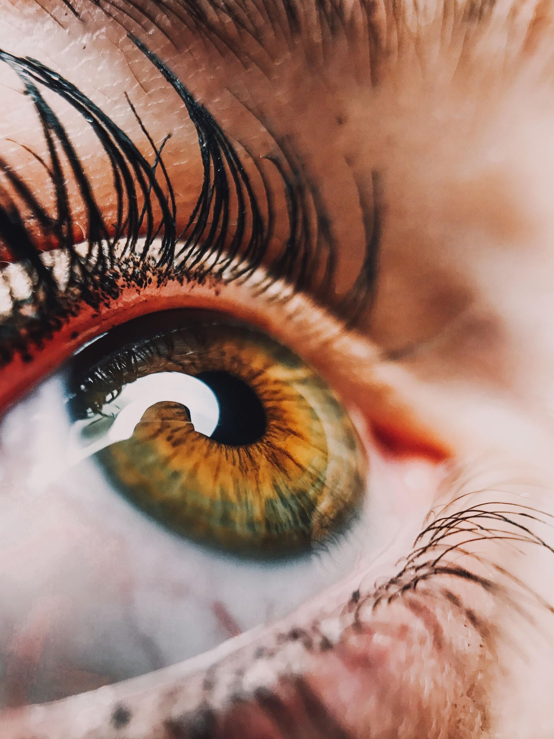 Unsplash/Perchek Industrie