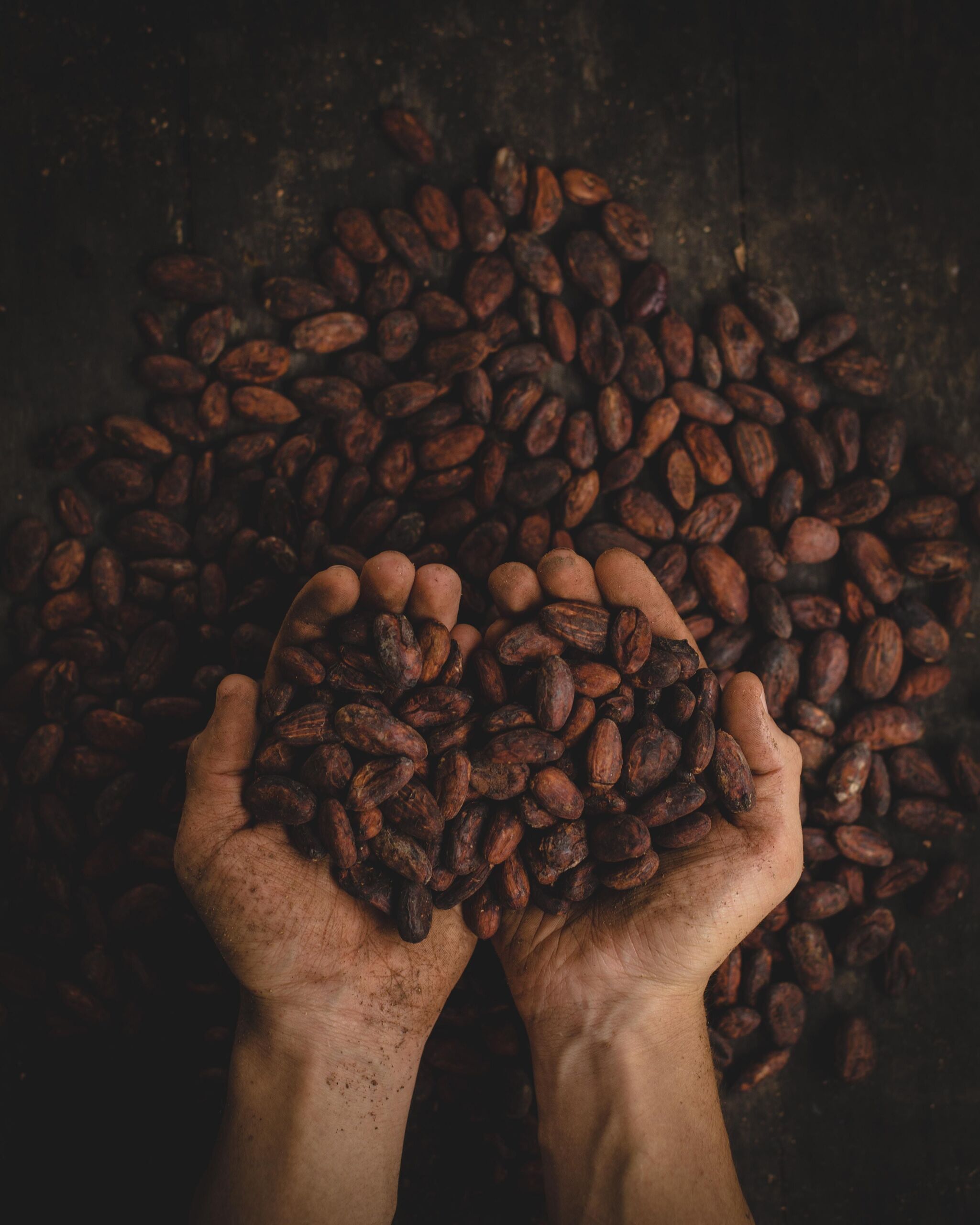 Pablo Merchán Montes/Unsplash