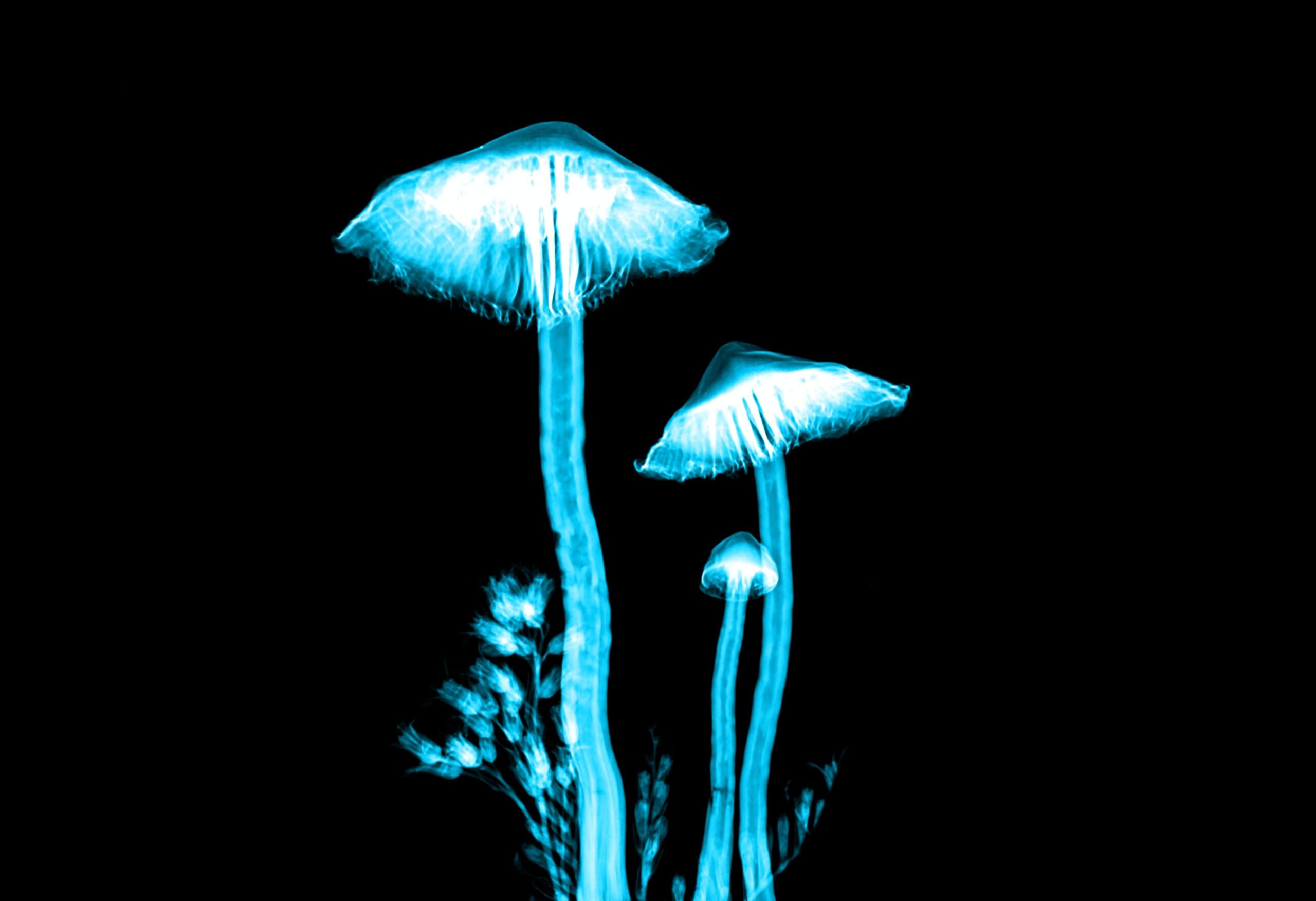 Unsplash