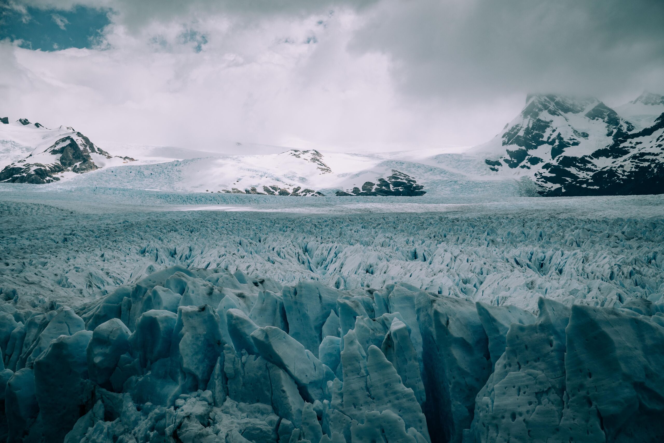 Unsplash/Martin Sanchez