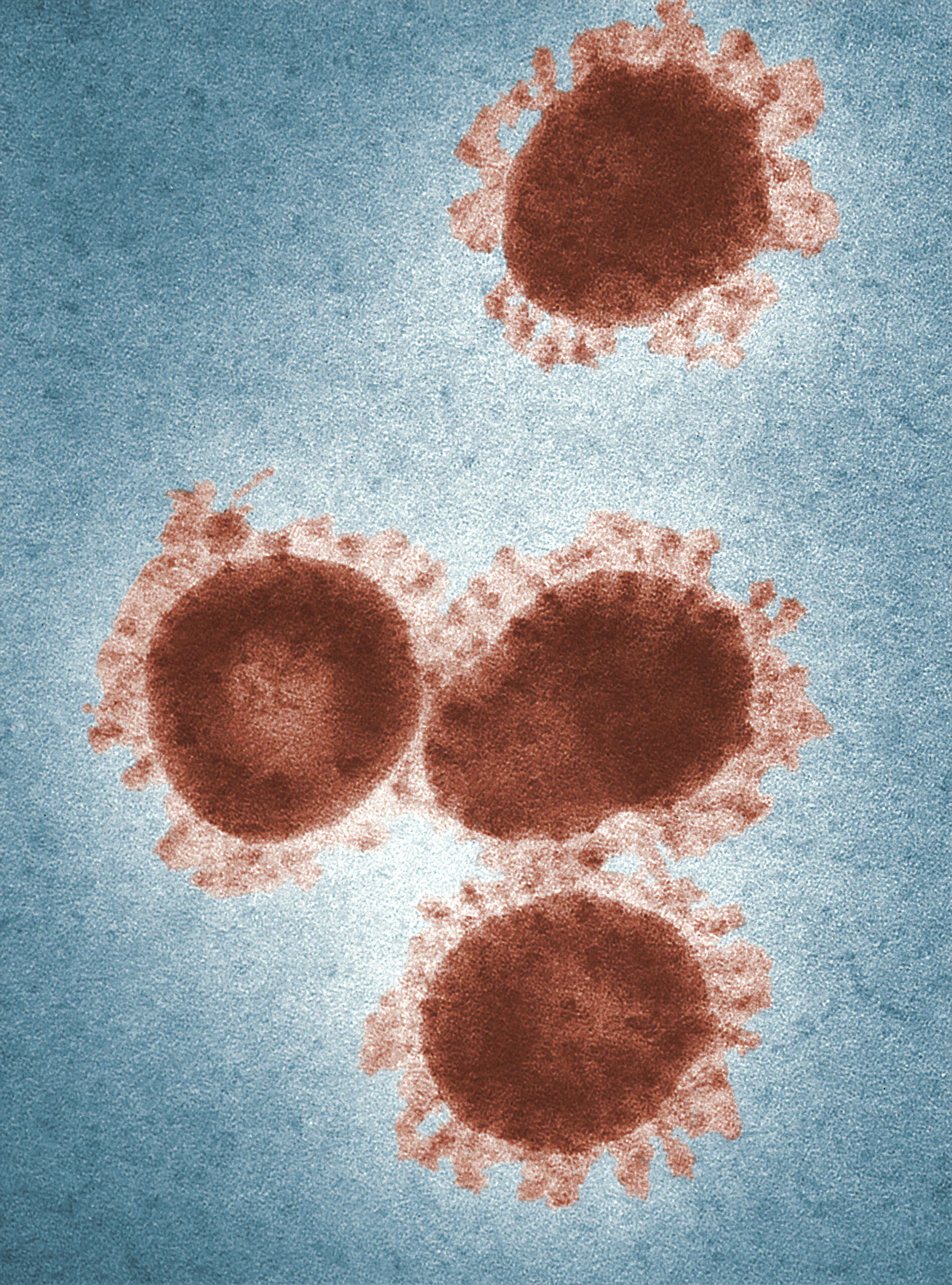 Unsplash/CDC