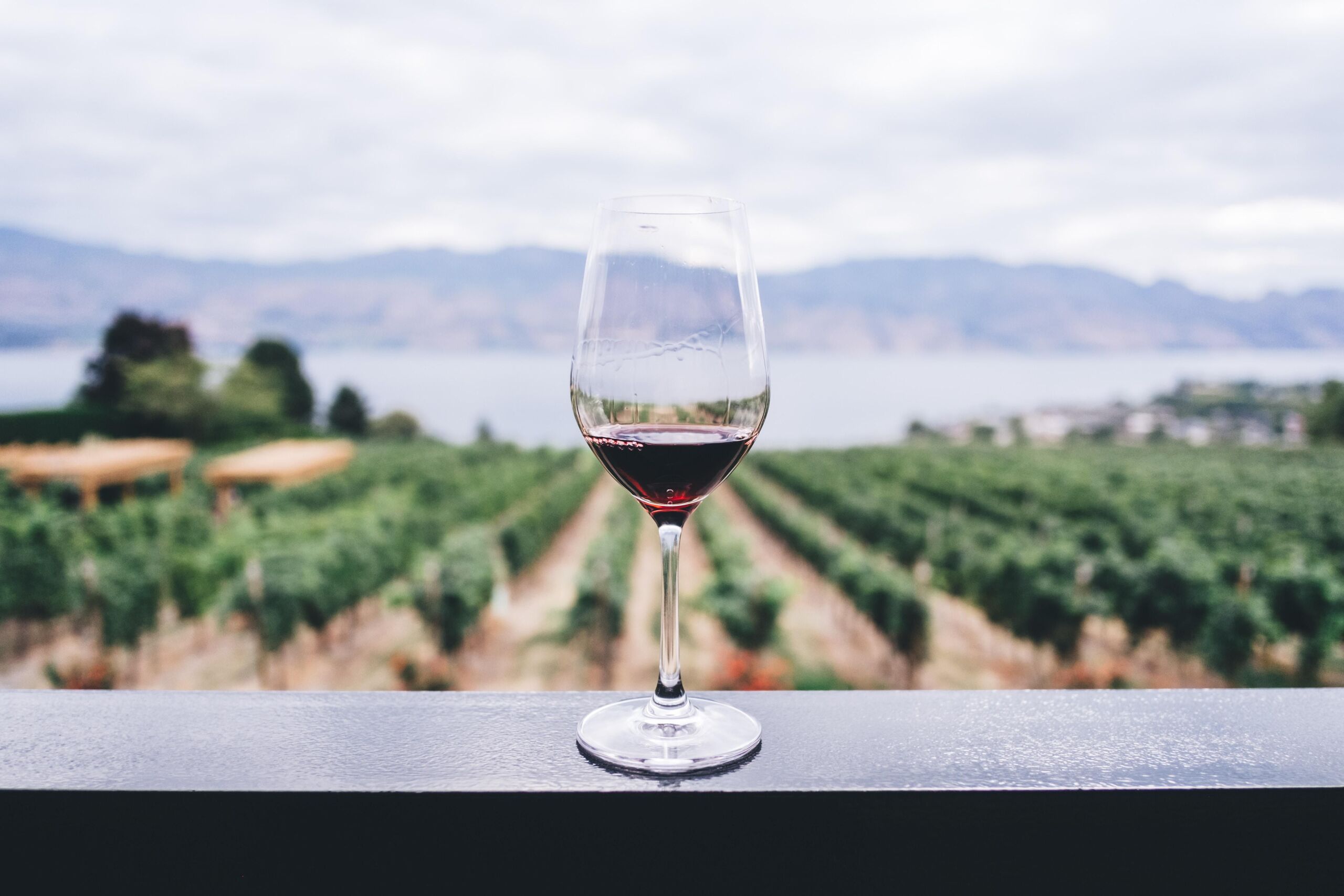  Kym Ellis/Unsplash