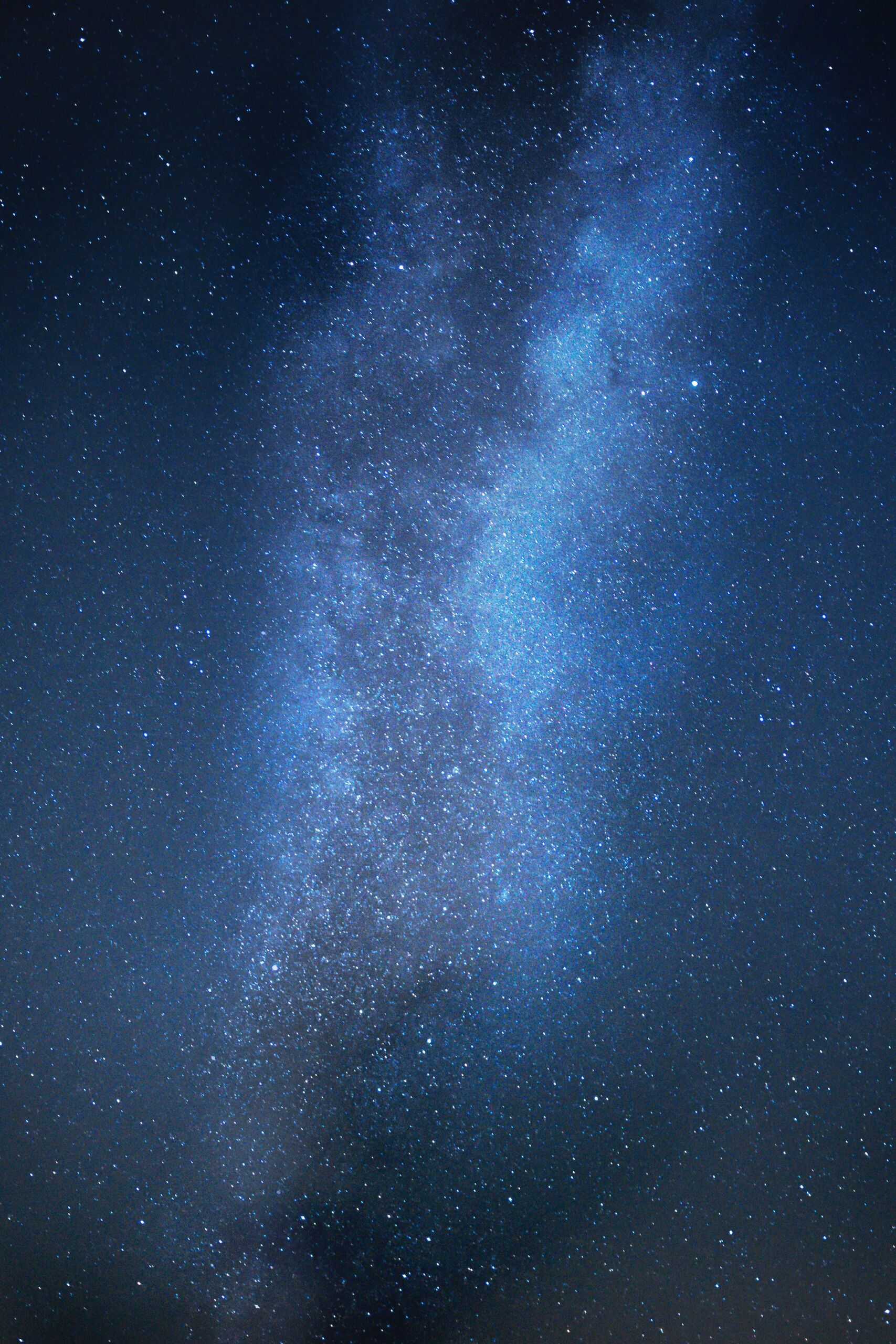Unsplash/Pono Lopez