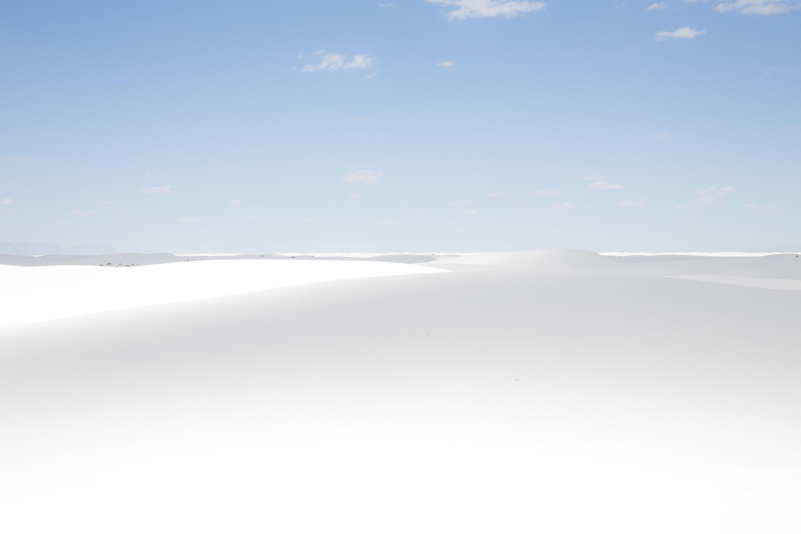Unsplash/Joe Lavigne