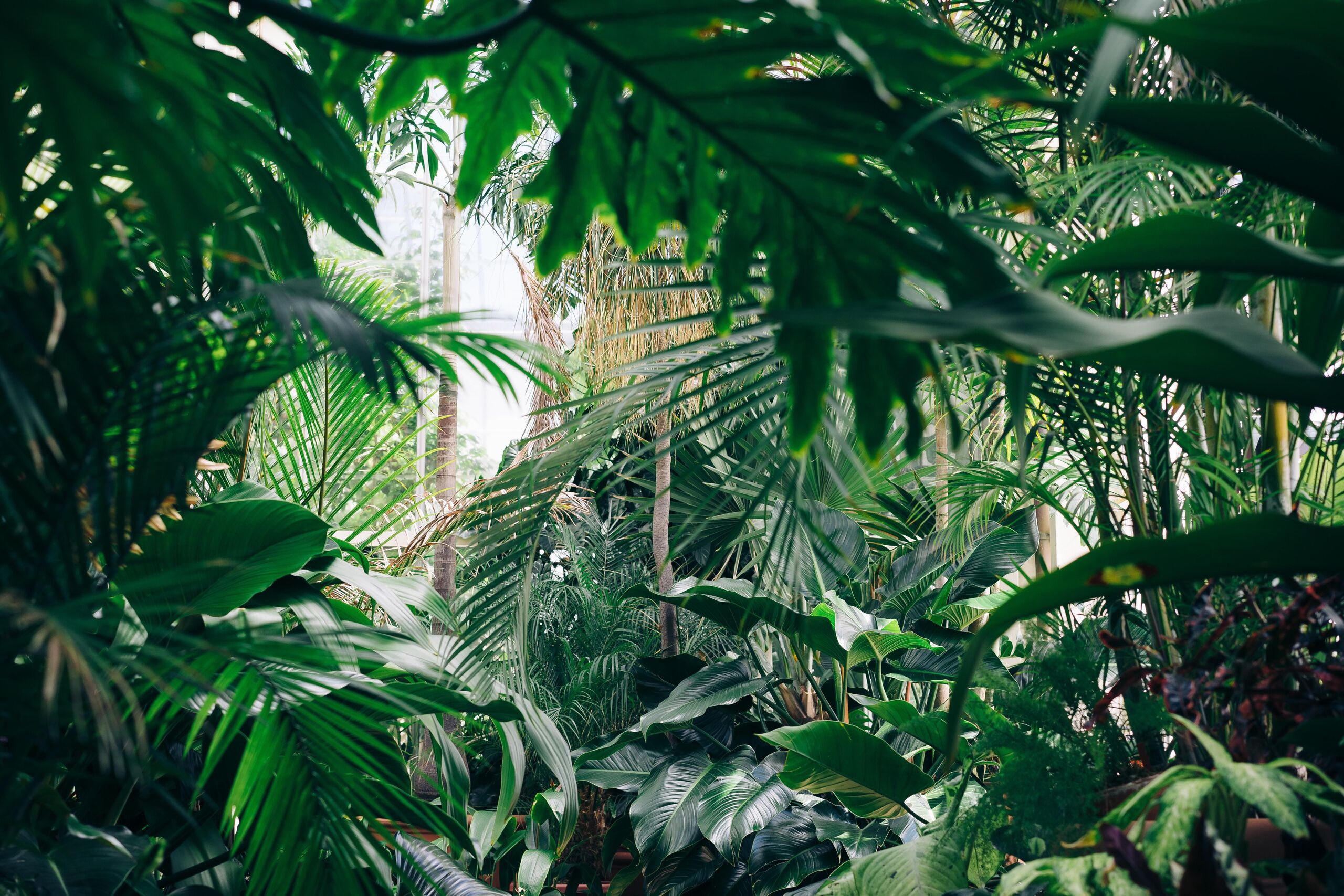  Chris Abney/Unsplash