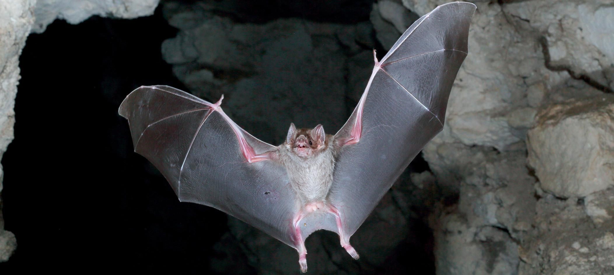 Getty Images