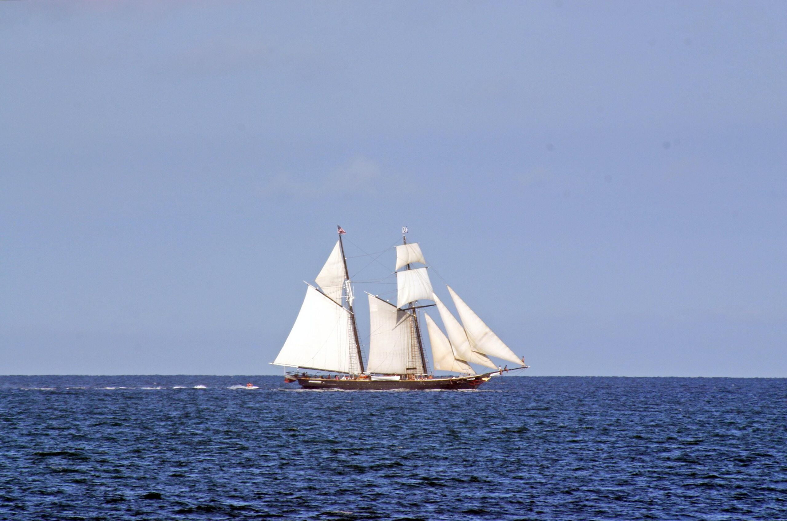 Ilse Orsel/Unsplash