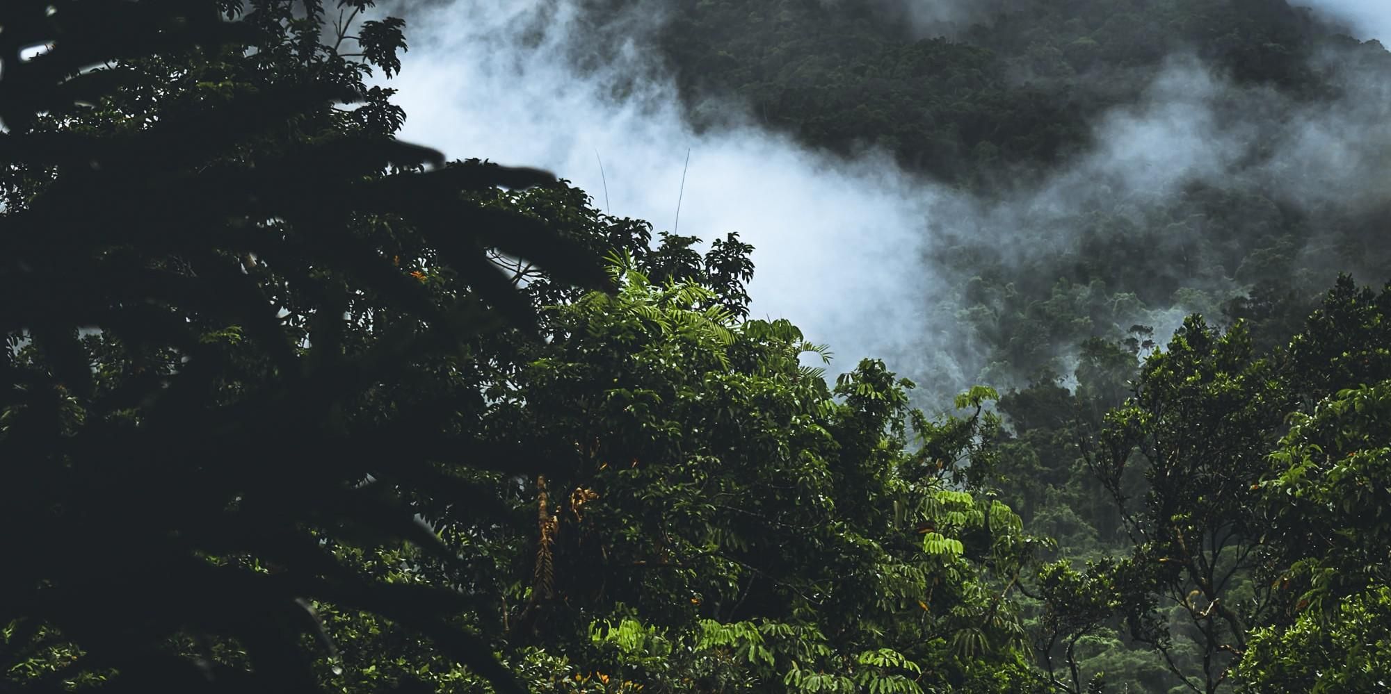 Szabolcs Toth/Unsplash