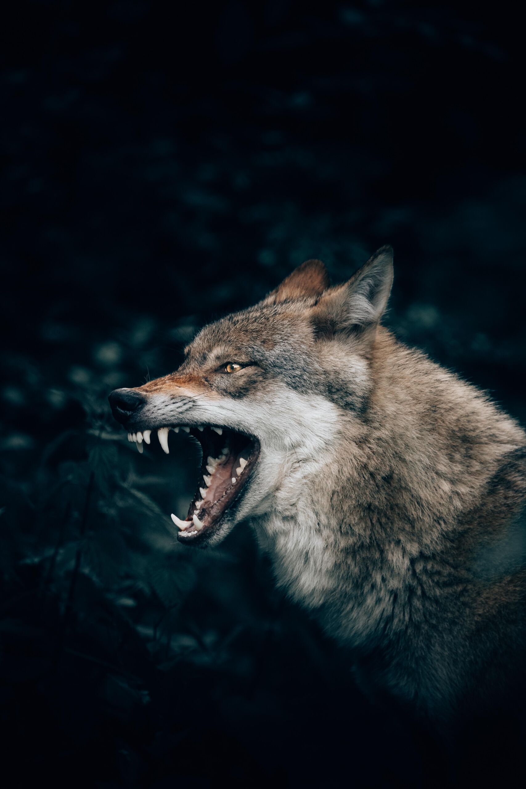 Unsplash/Philipp Pilz