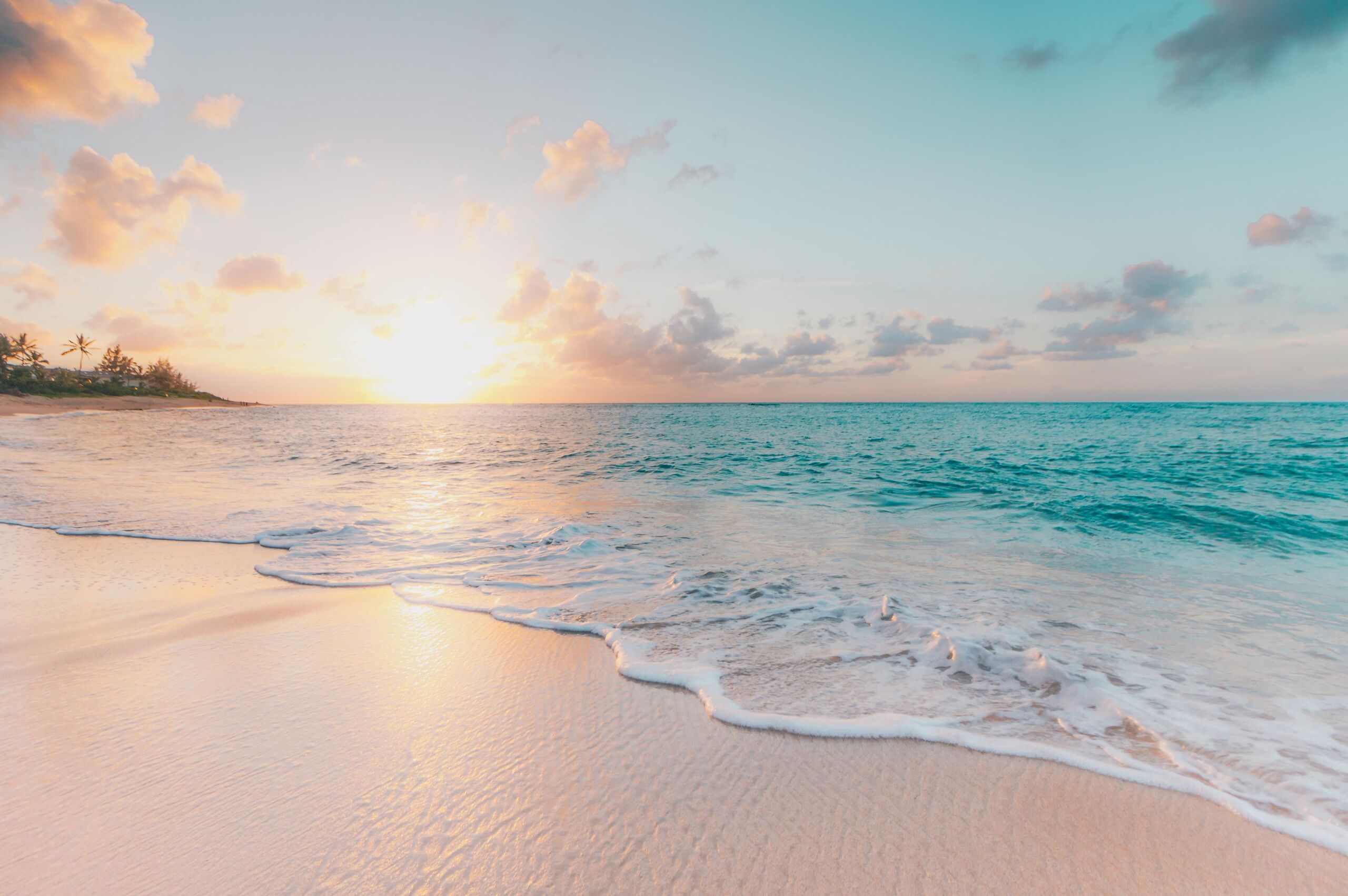 Sean Oulashin/Unsplash