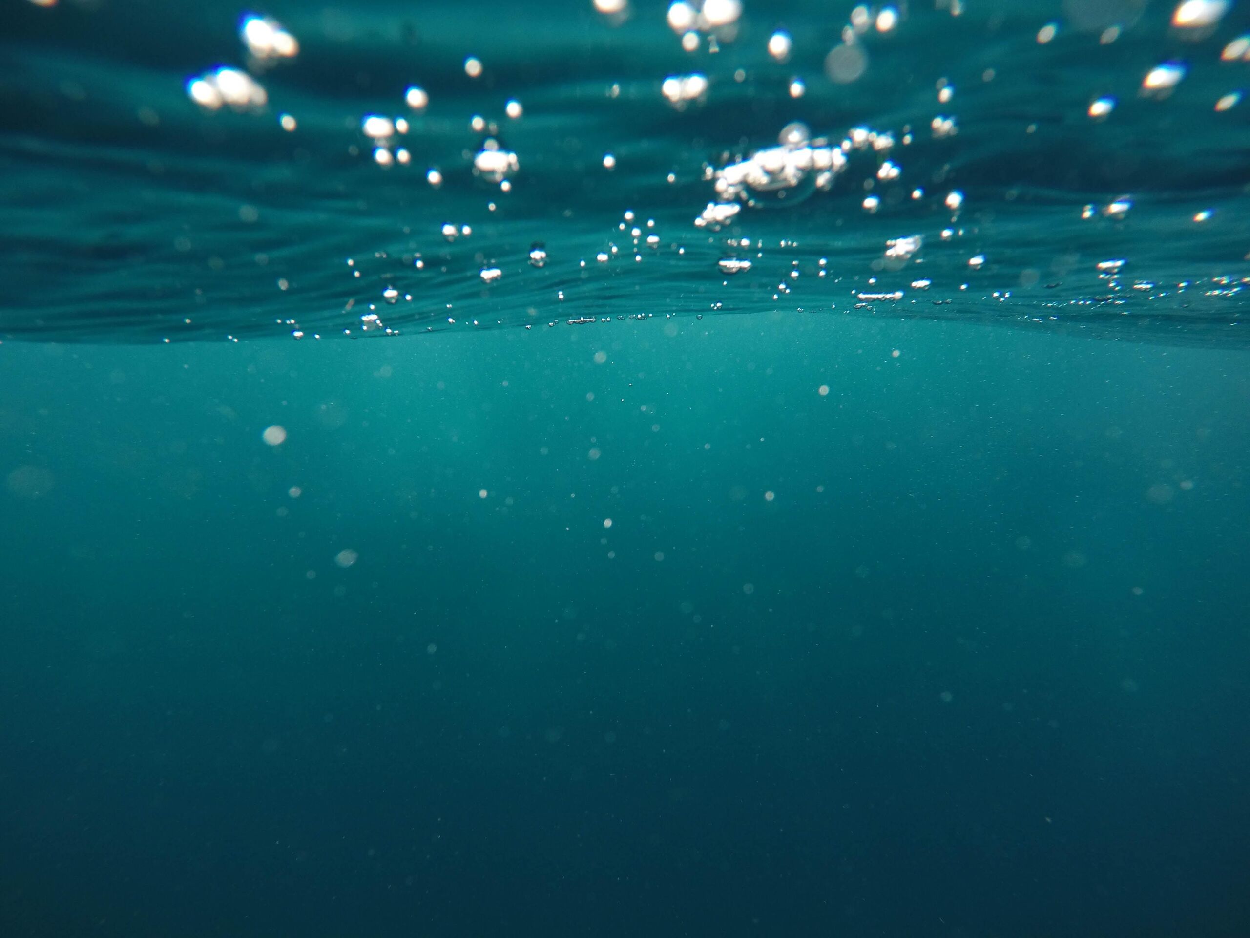 Jeremy Bishop/Unsplash