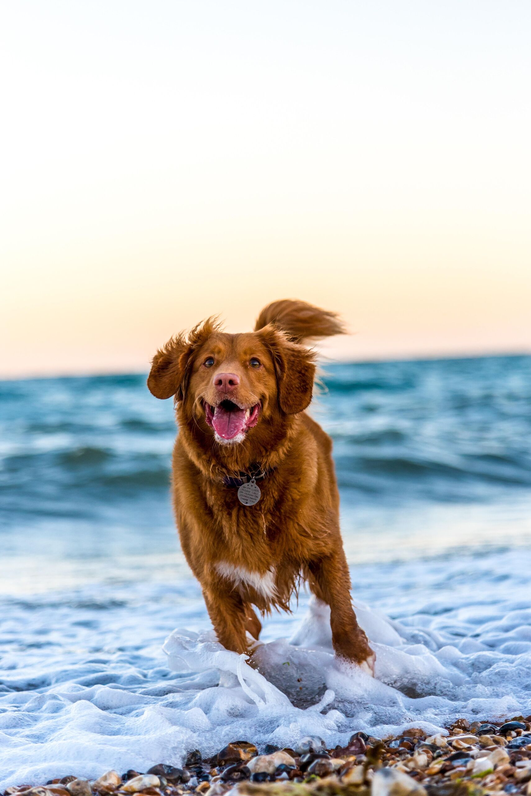 Unsplash/Oscar Sutton