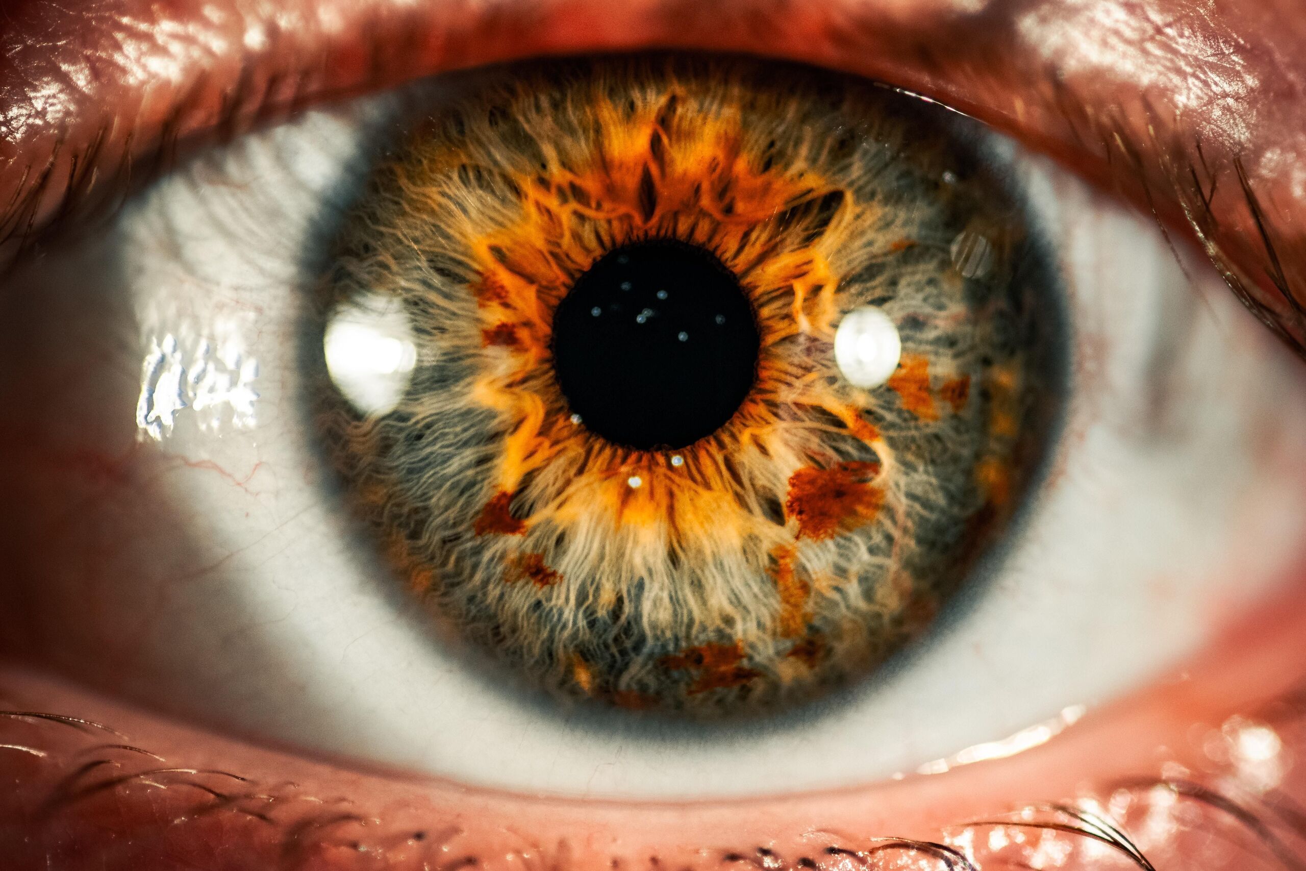 Unsplash/Colin Lloyd