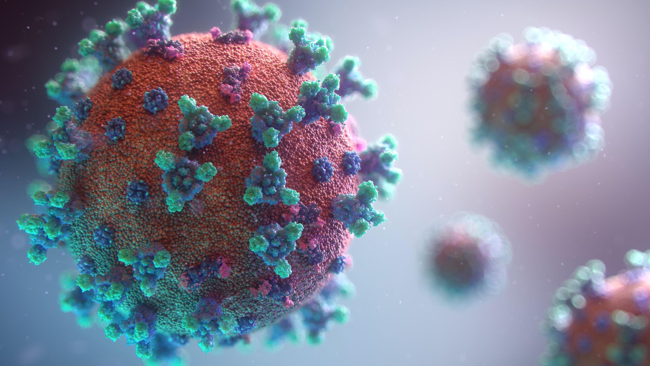 Unsplash/Fusion Medical Animation