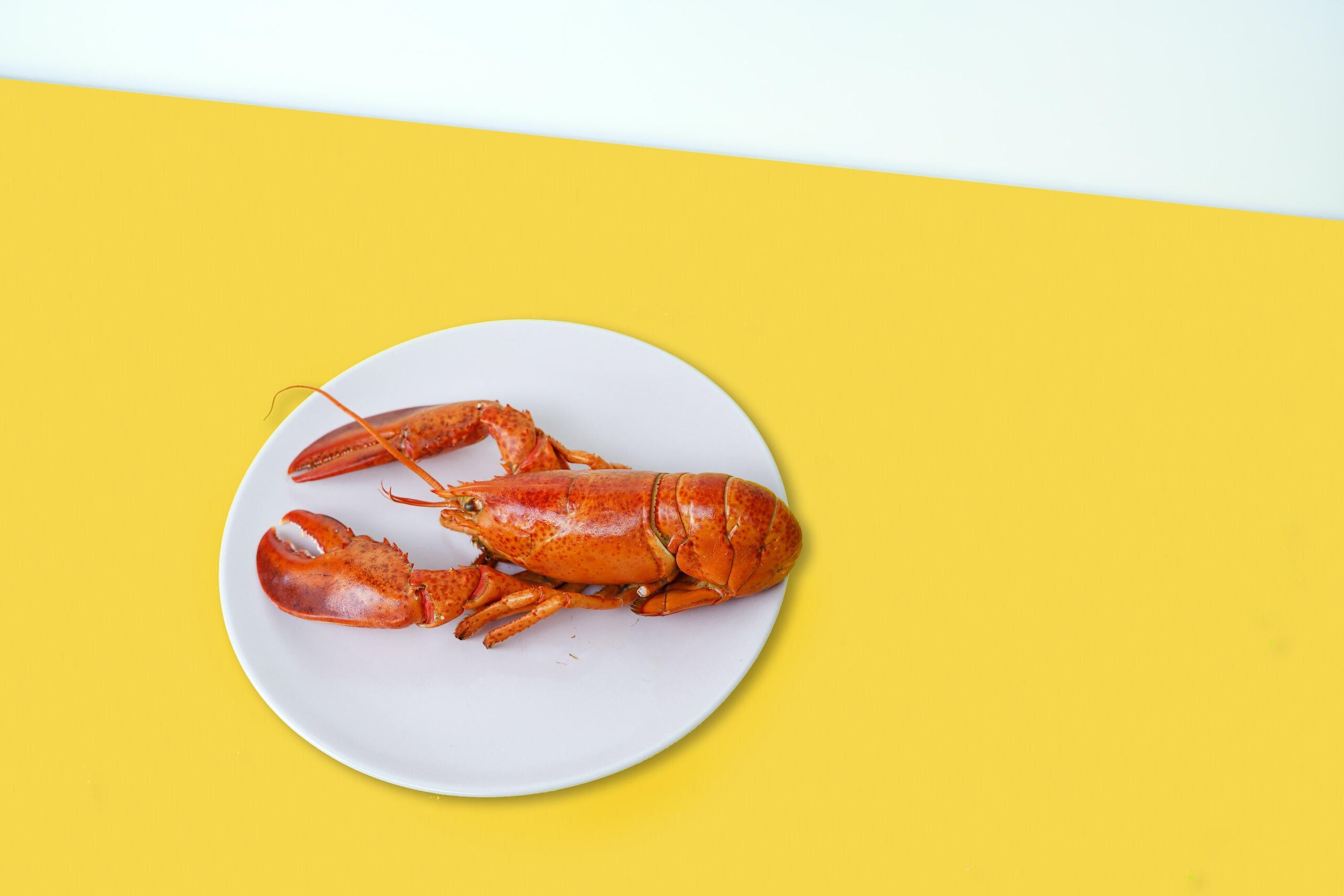  Unsplash / Toa Heftiba 