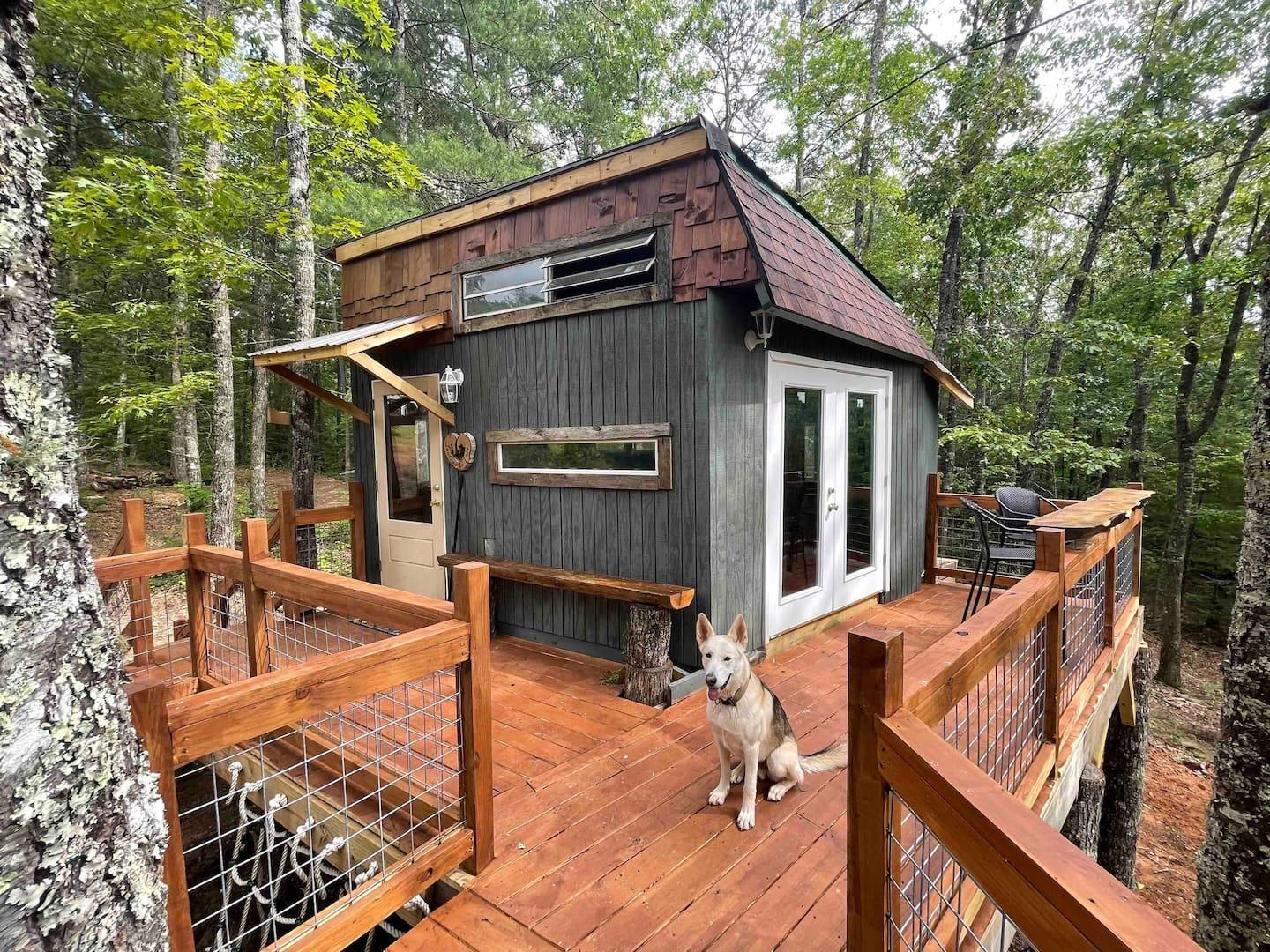 Airbnb