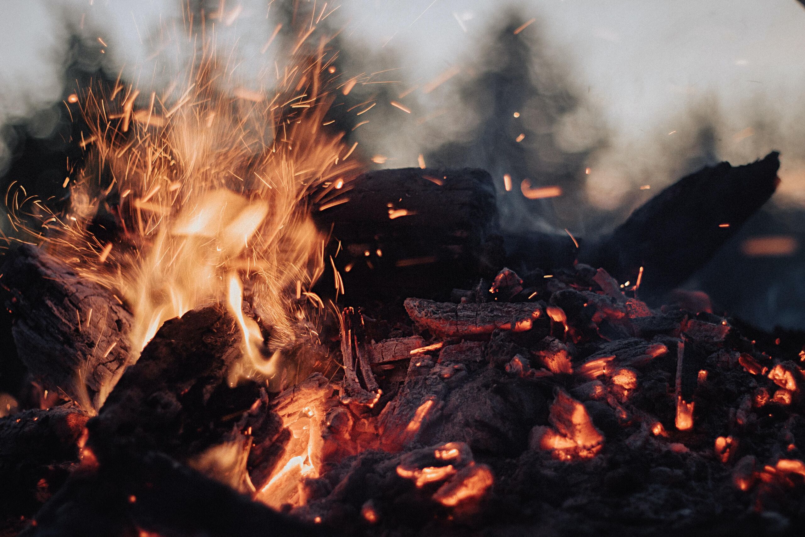 Unsplash/ Almos Bechtold