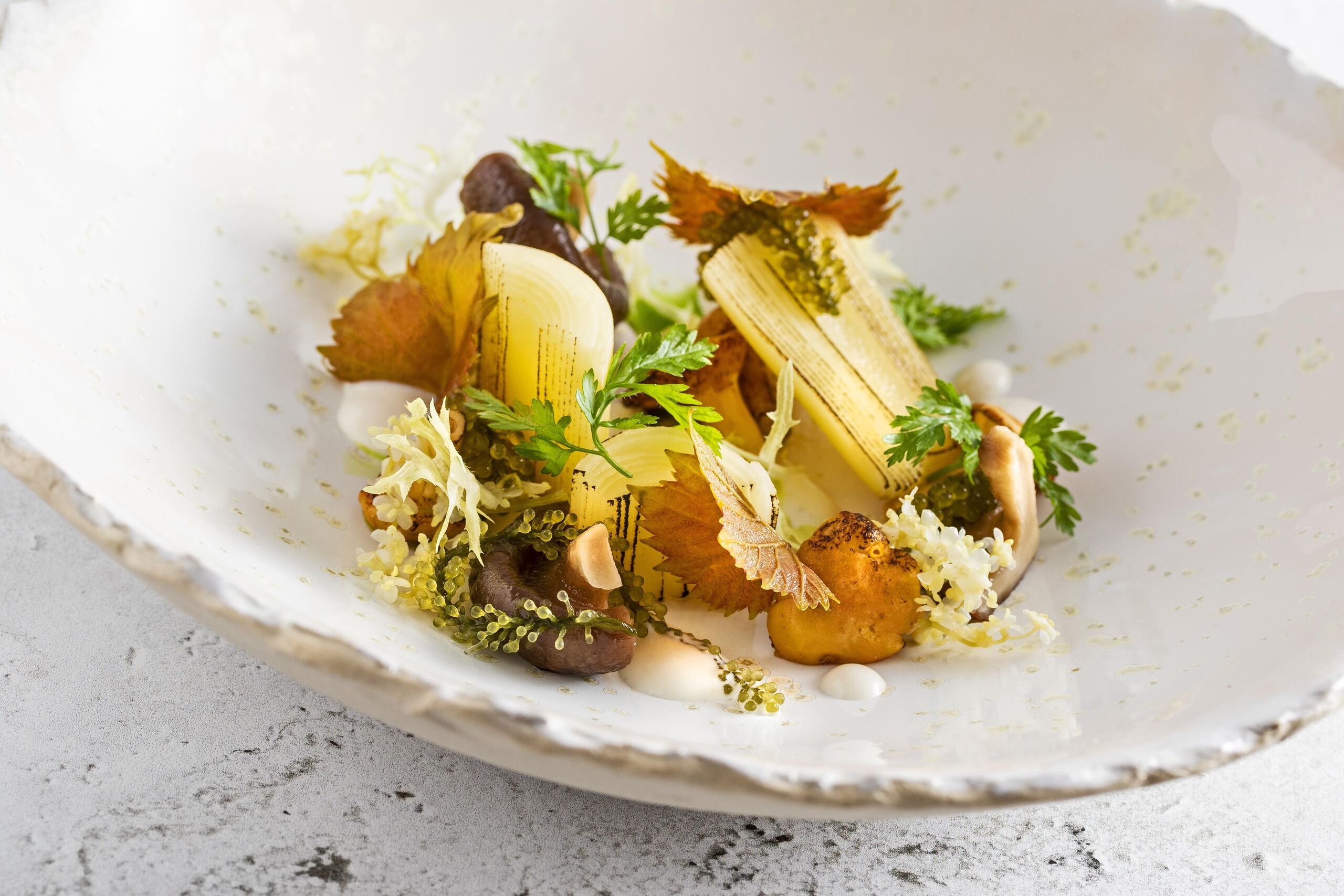 Platán Gourmet Étterem