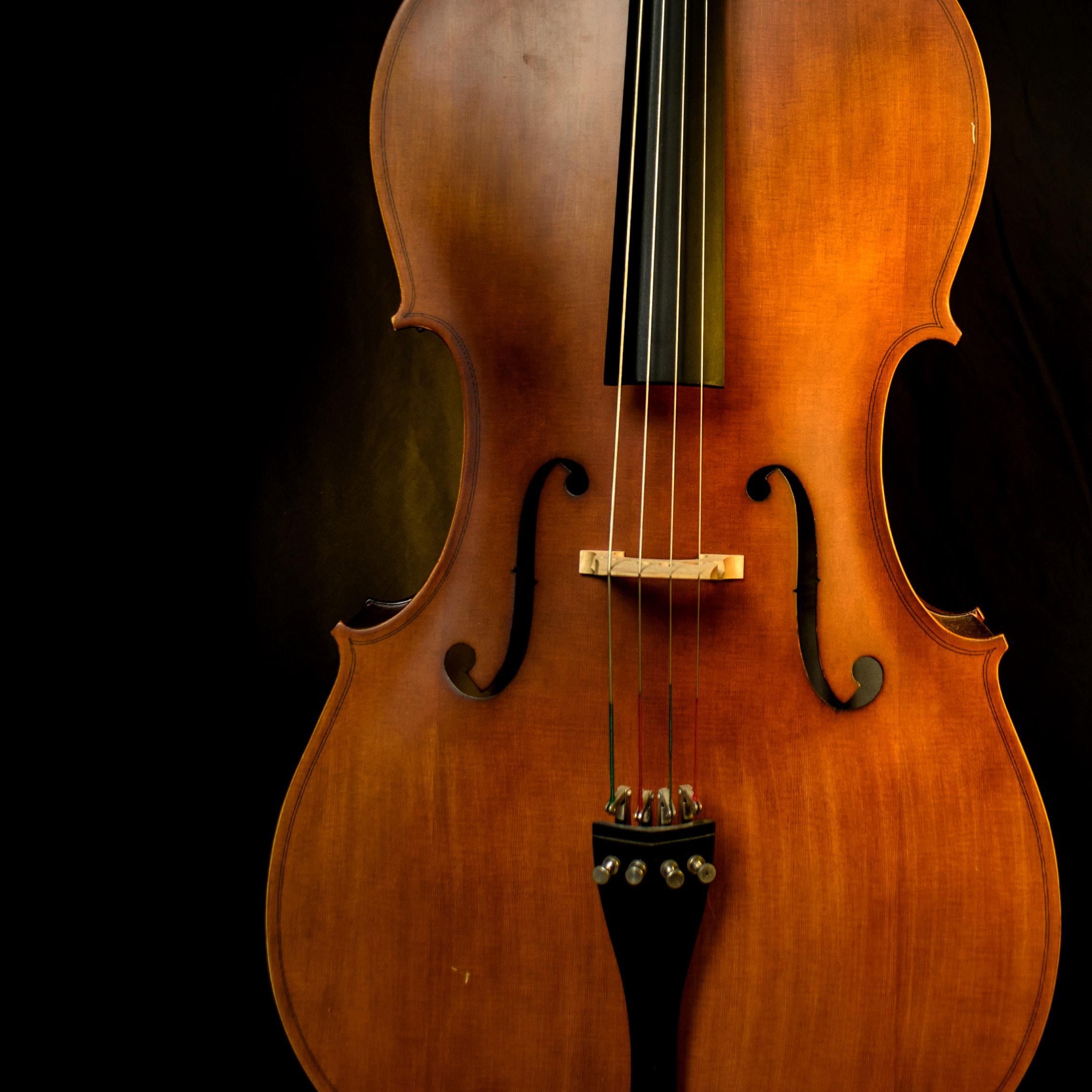 Dominik Scythe / Unsplash