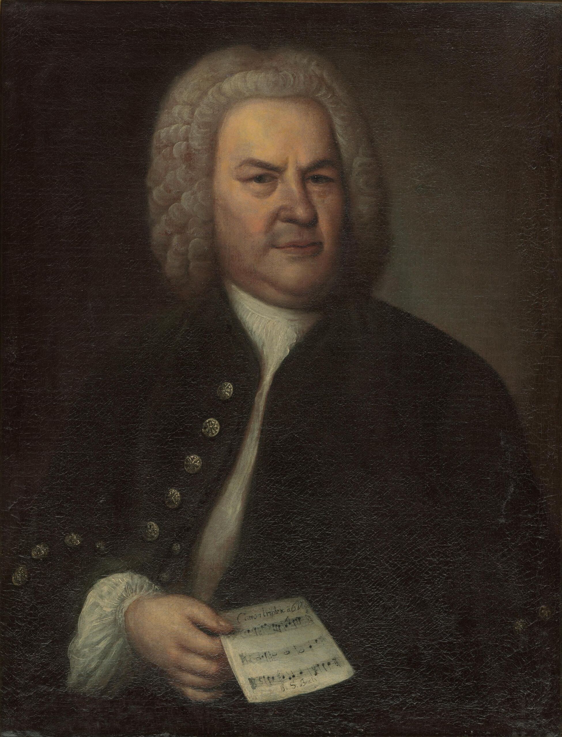 Wikimedia Commons
