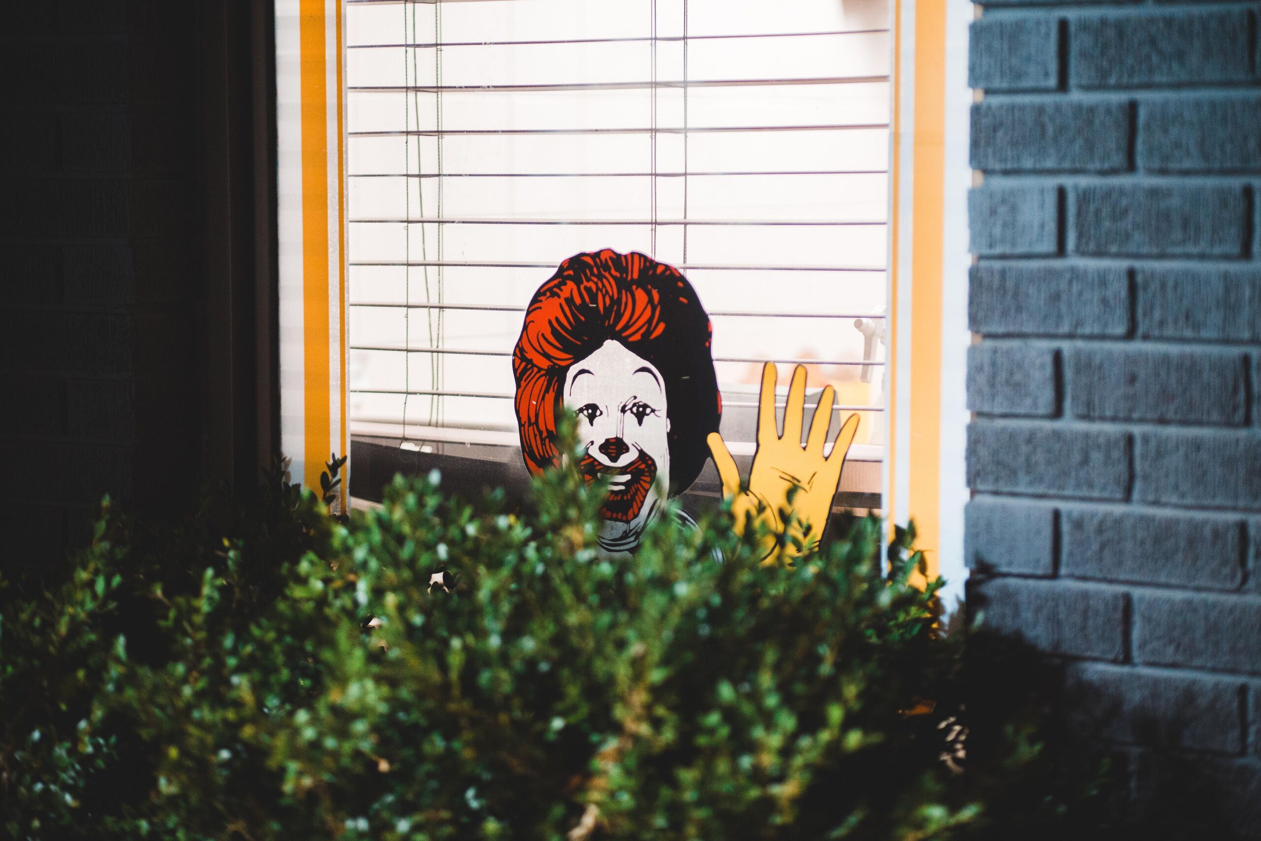 Unsplash/Erik Mclean
