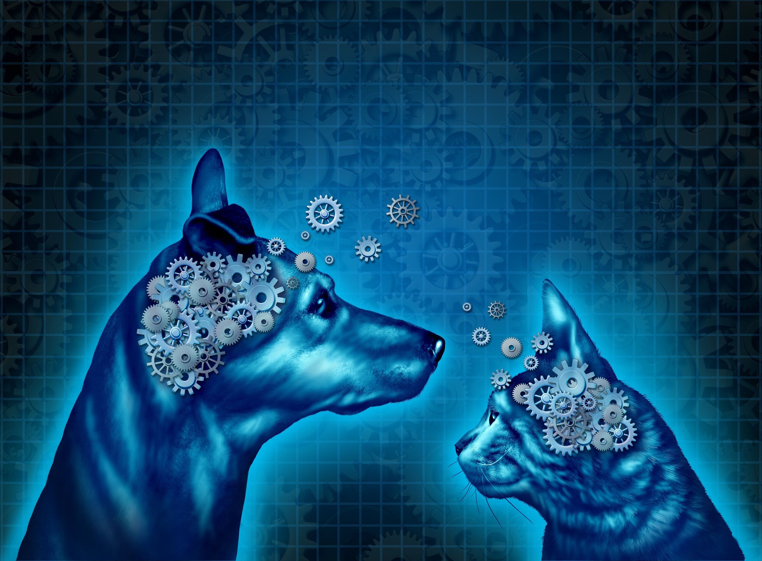 Fotó: Lightspring/Shutterstock