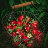 Photo by Heather Barnes on Unsplash