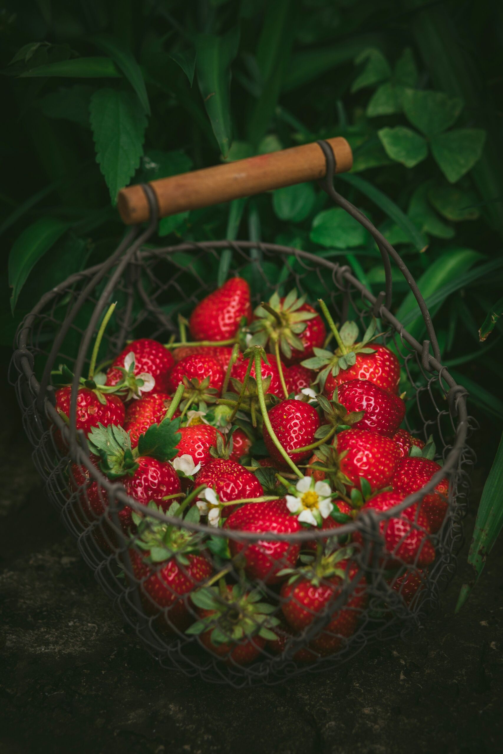 Photo by Heather Barnes on Unsplash