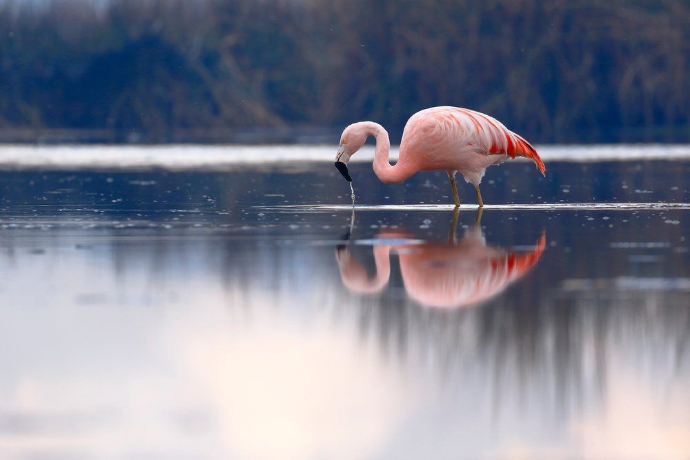 Fotó: Jonathan Chancasana/Shutterstock