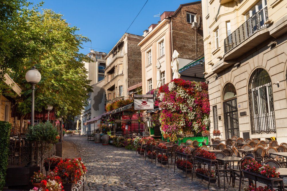 Fotó: e2dan/Shutterstock