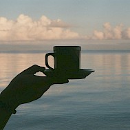 Photo by Quincy Alivio on Unsplash
