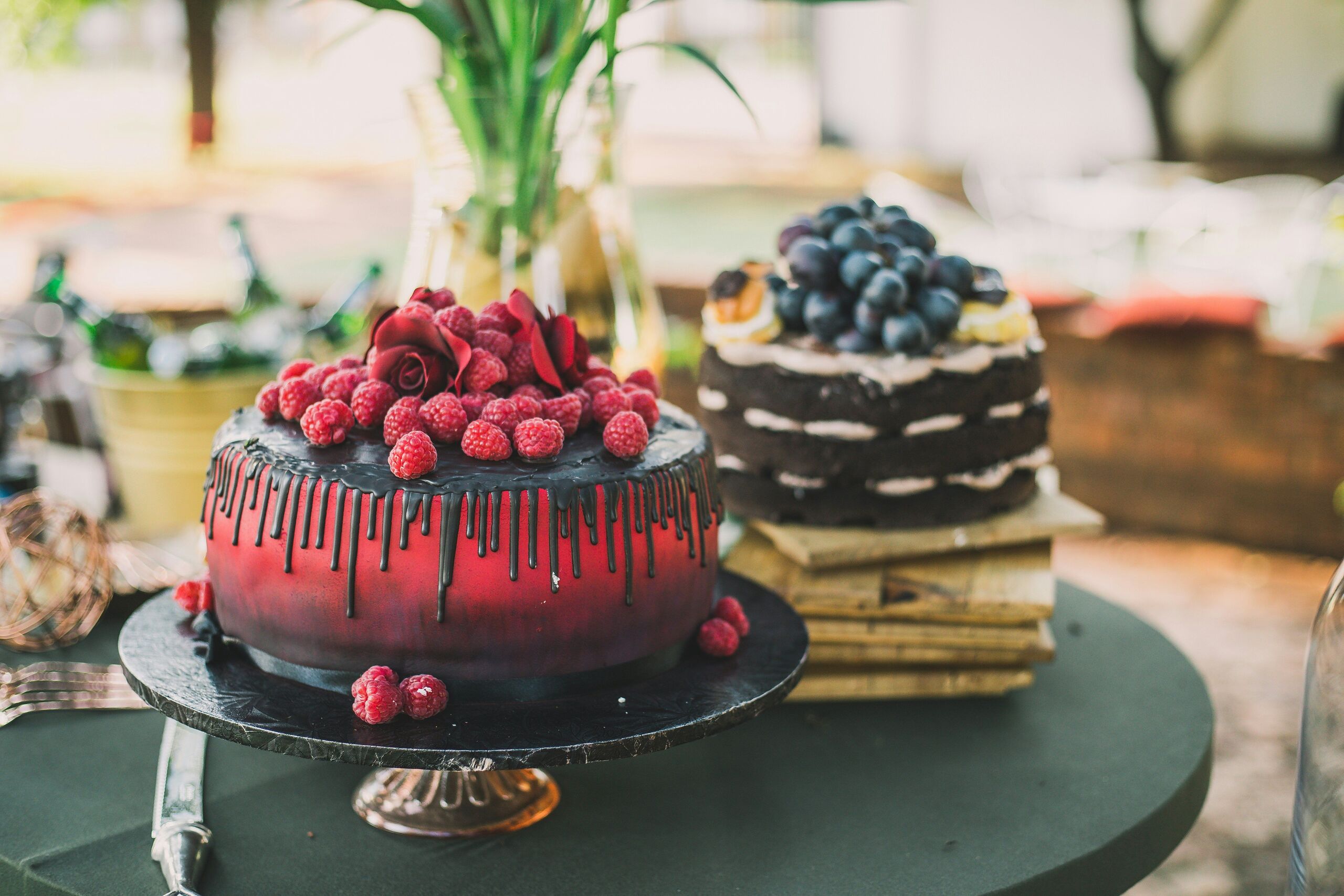 Photo by Jeanie de Klerk on Unsplash