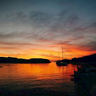 Photo by Marek Lev&aacute;k on Unsplash