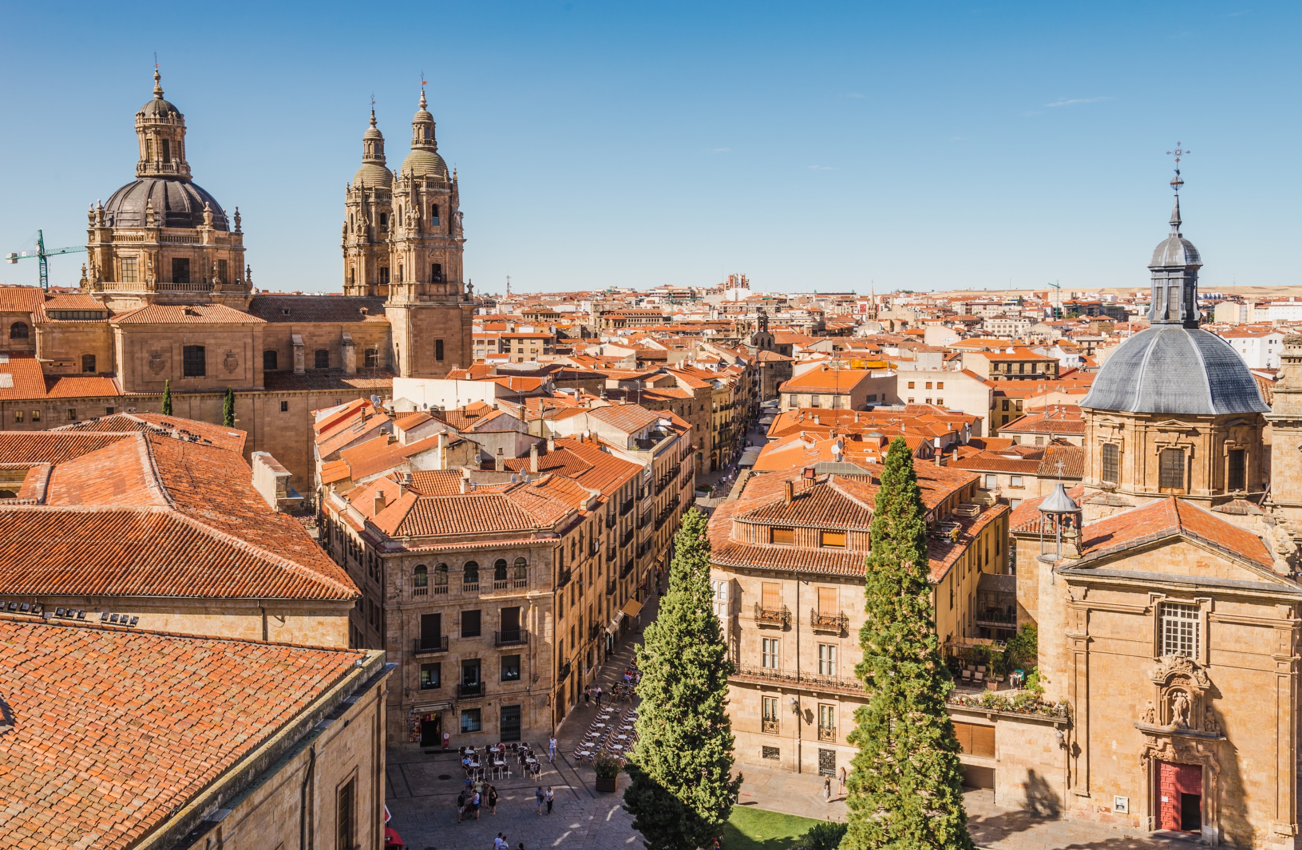 leonori/Shutterstock
