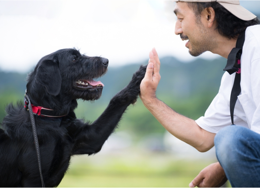 kapinon.stuio/Shutterstock