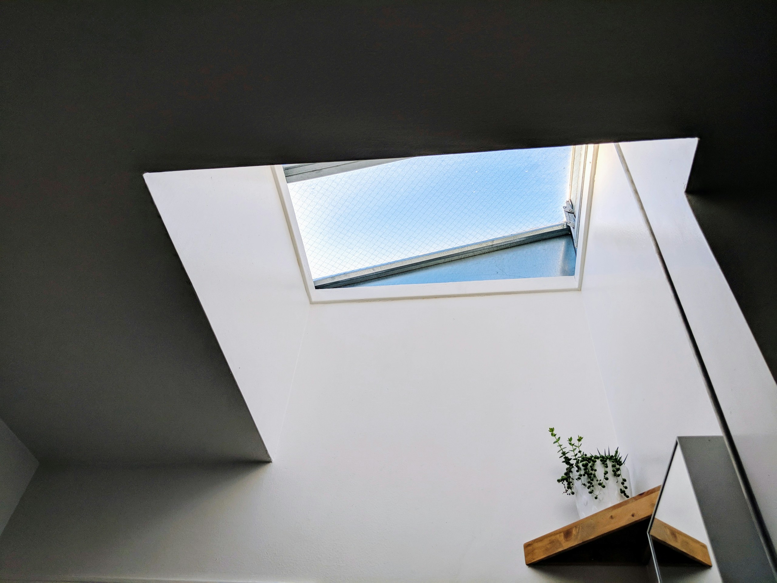 Layton Diament/Unsplash
