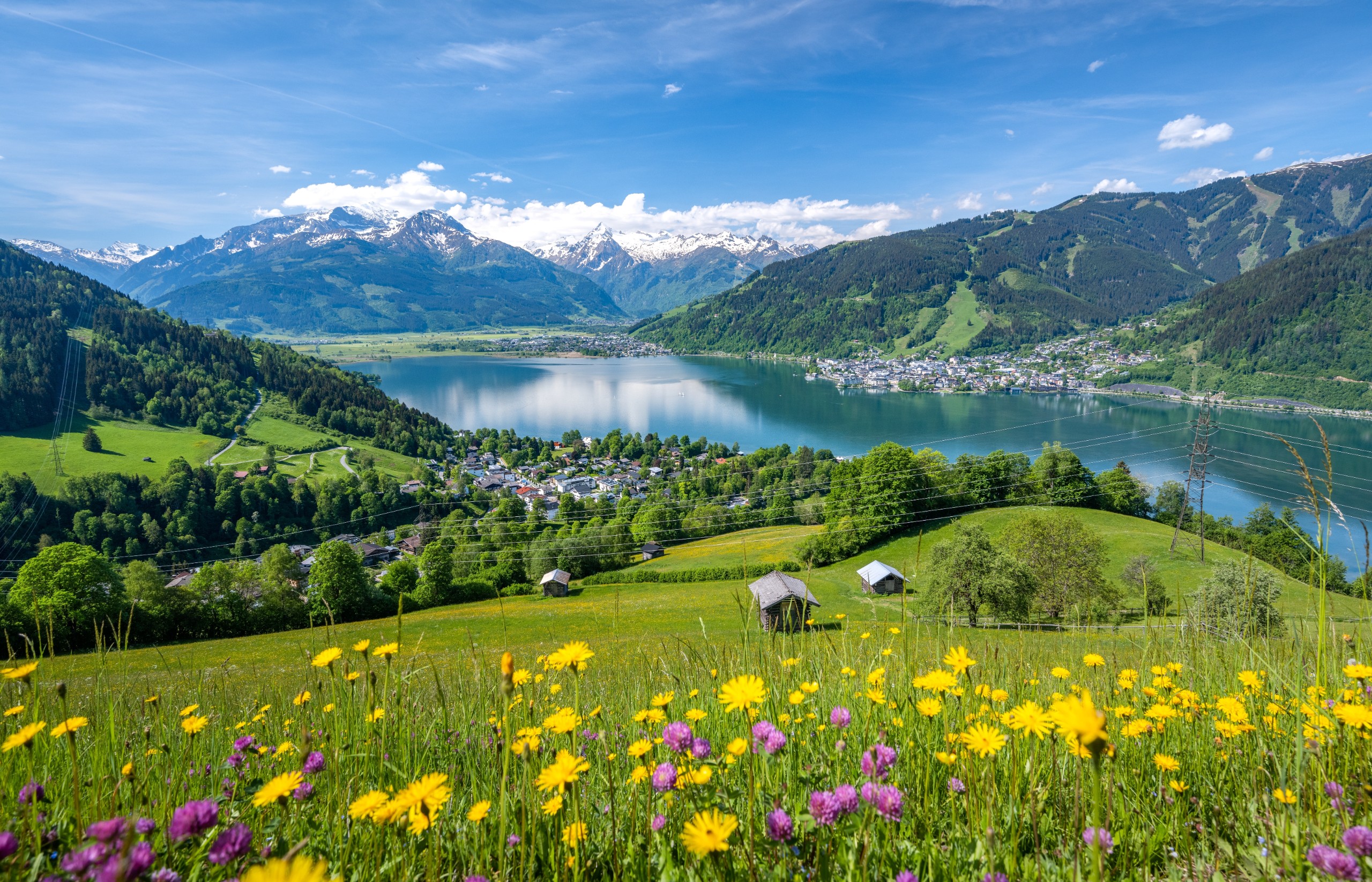 auerimages/Shutterstock