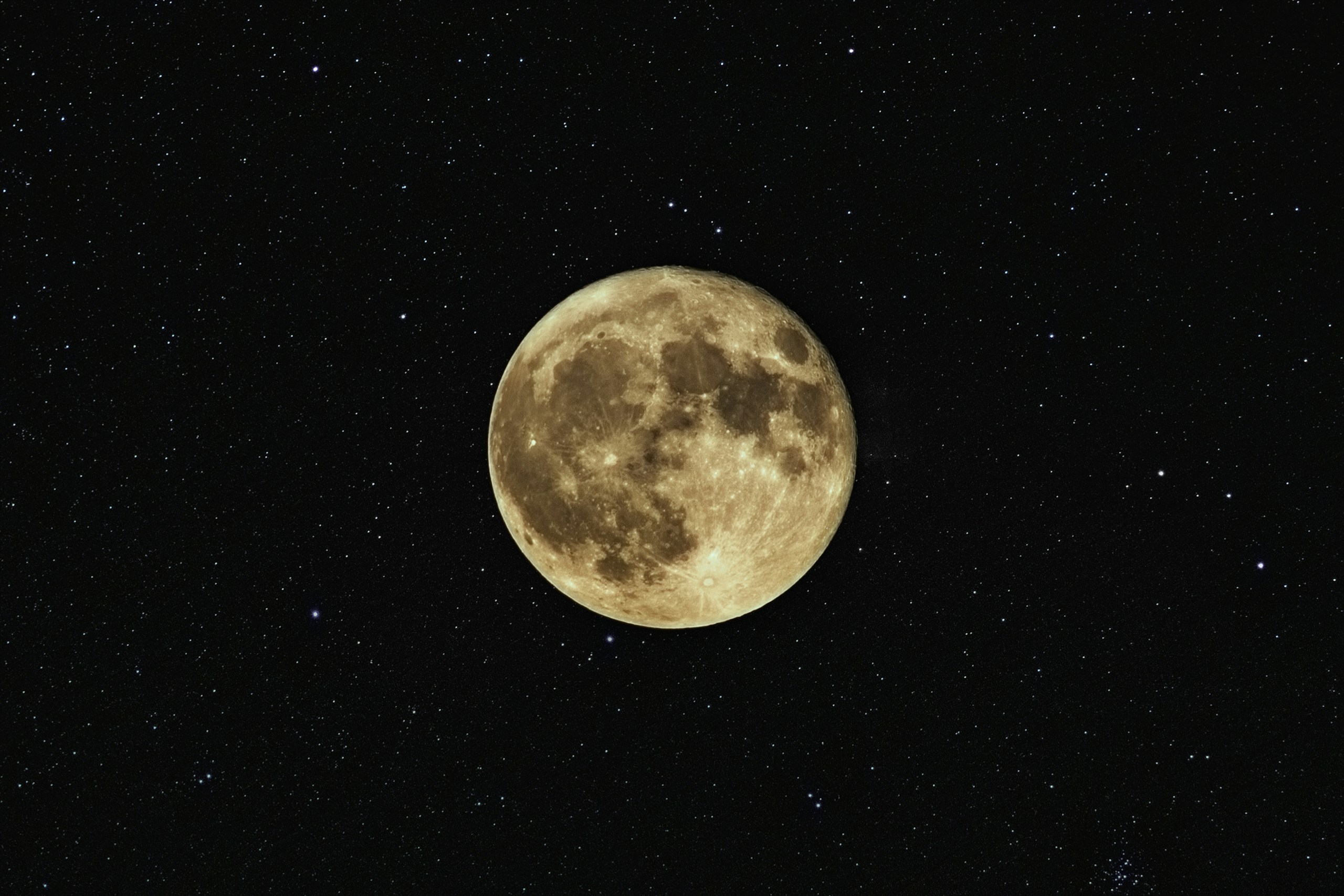 Neven Krcmarek/Unsplash