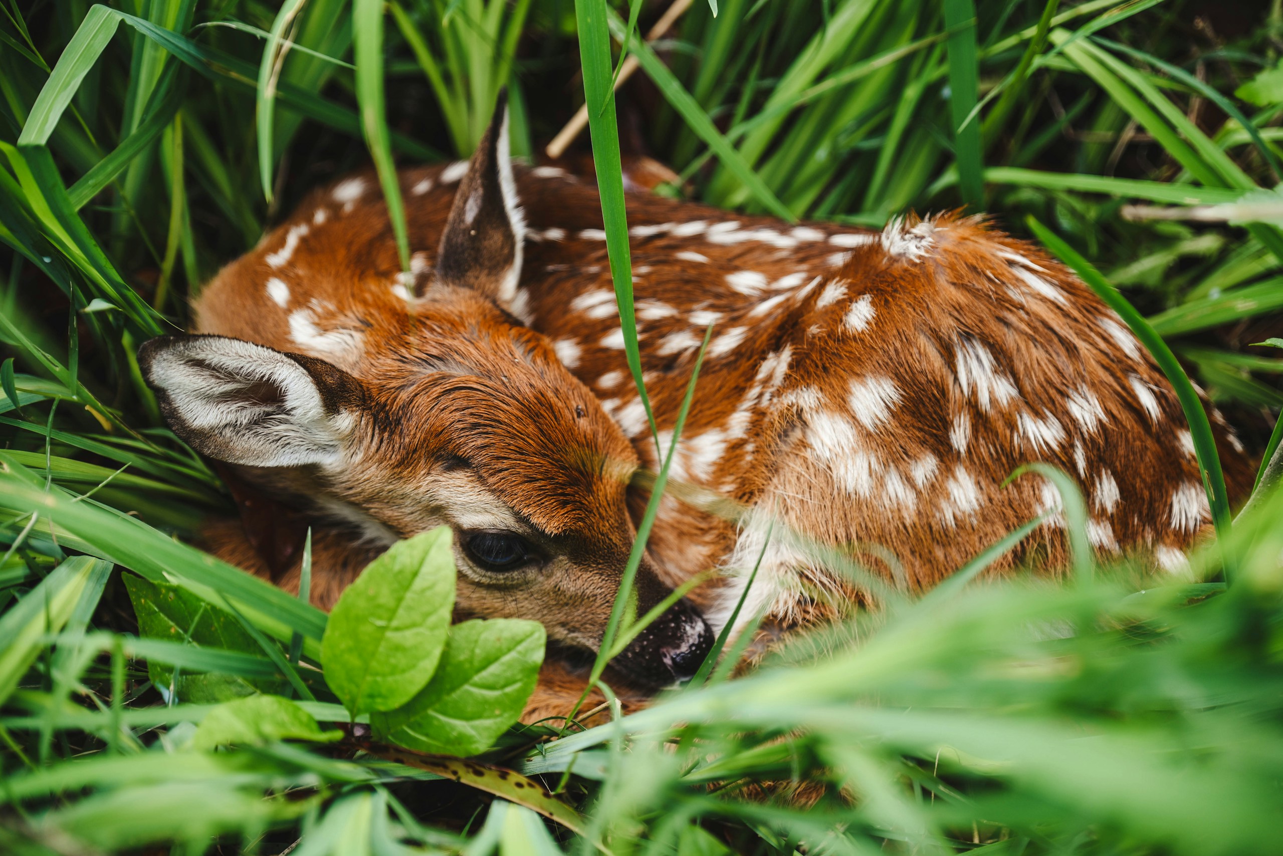 Erika Fletcher/Unsplash