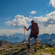 Kochneva Tetyana/Shutterstock