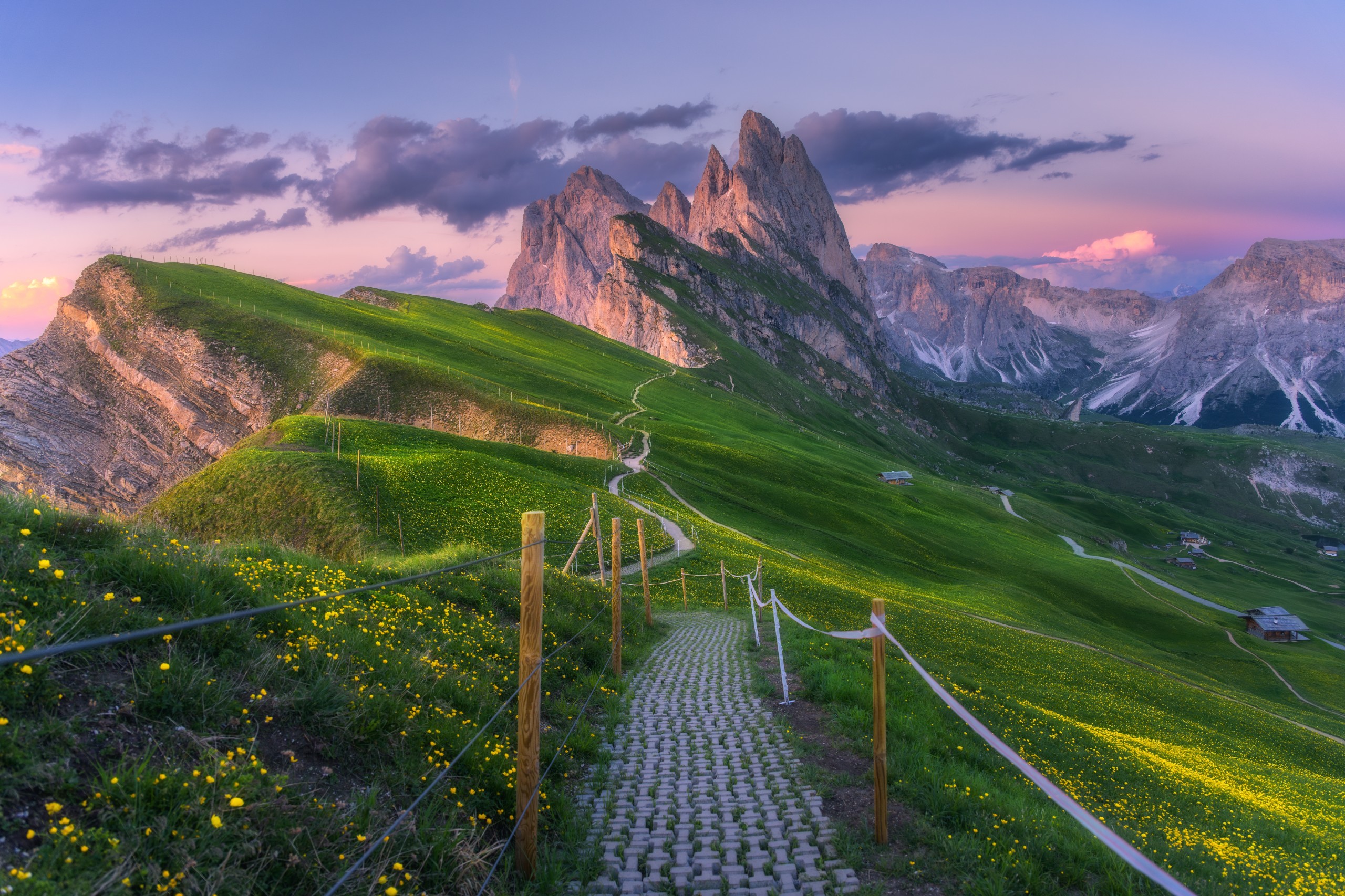Denis Belitsky/Shutterstock