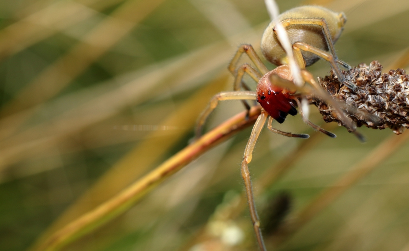 Krzysztof Kalemba/Shutterstock