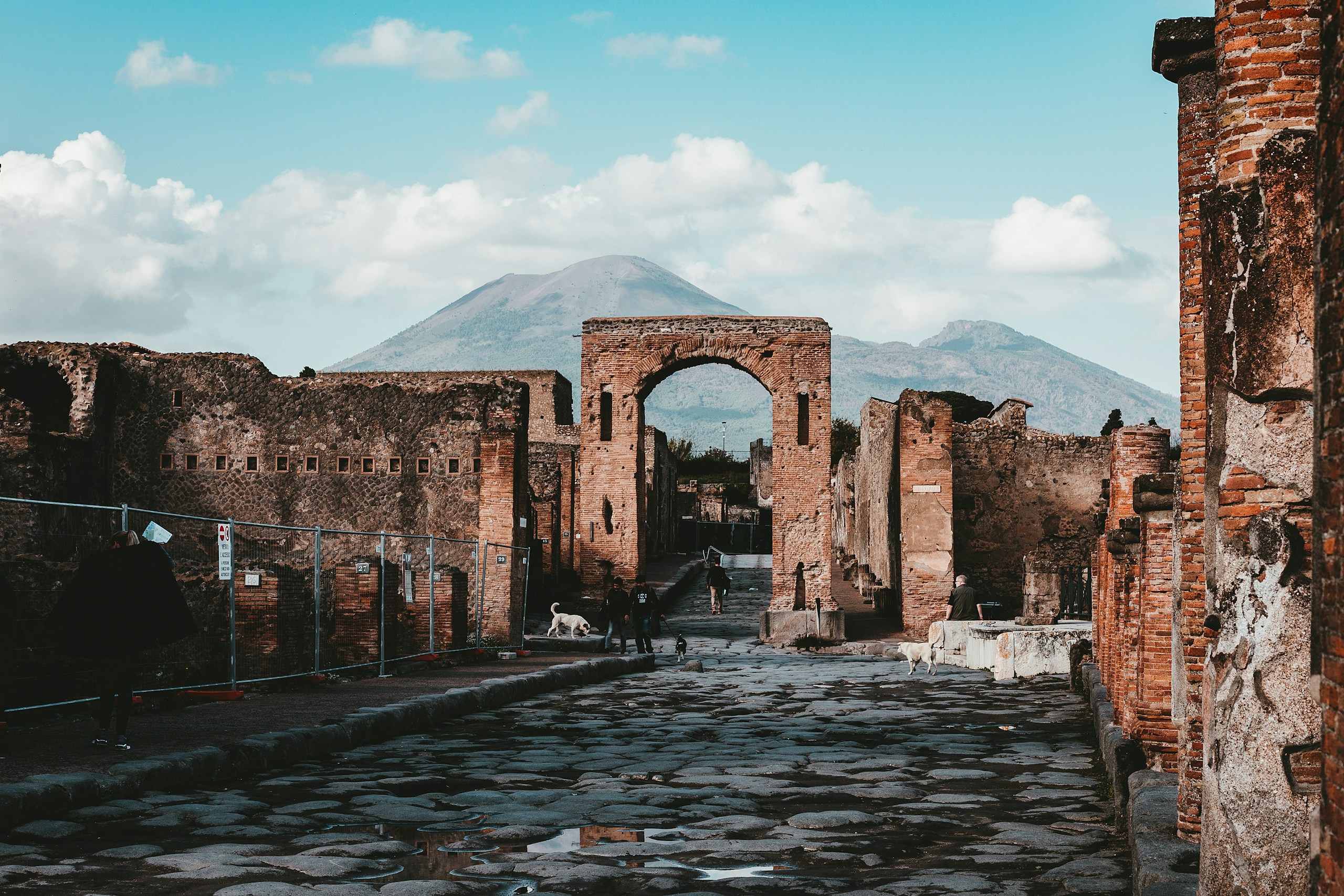 Andy Holmes/Unsplash
