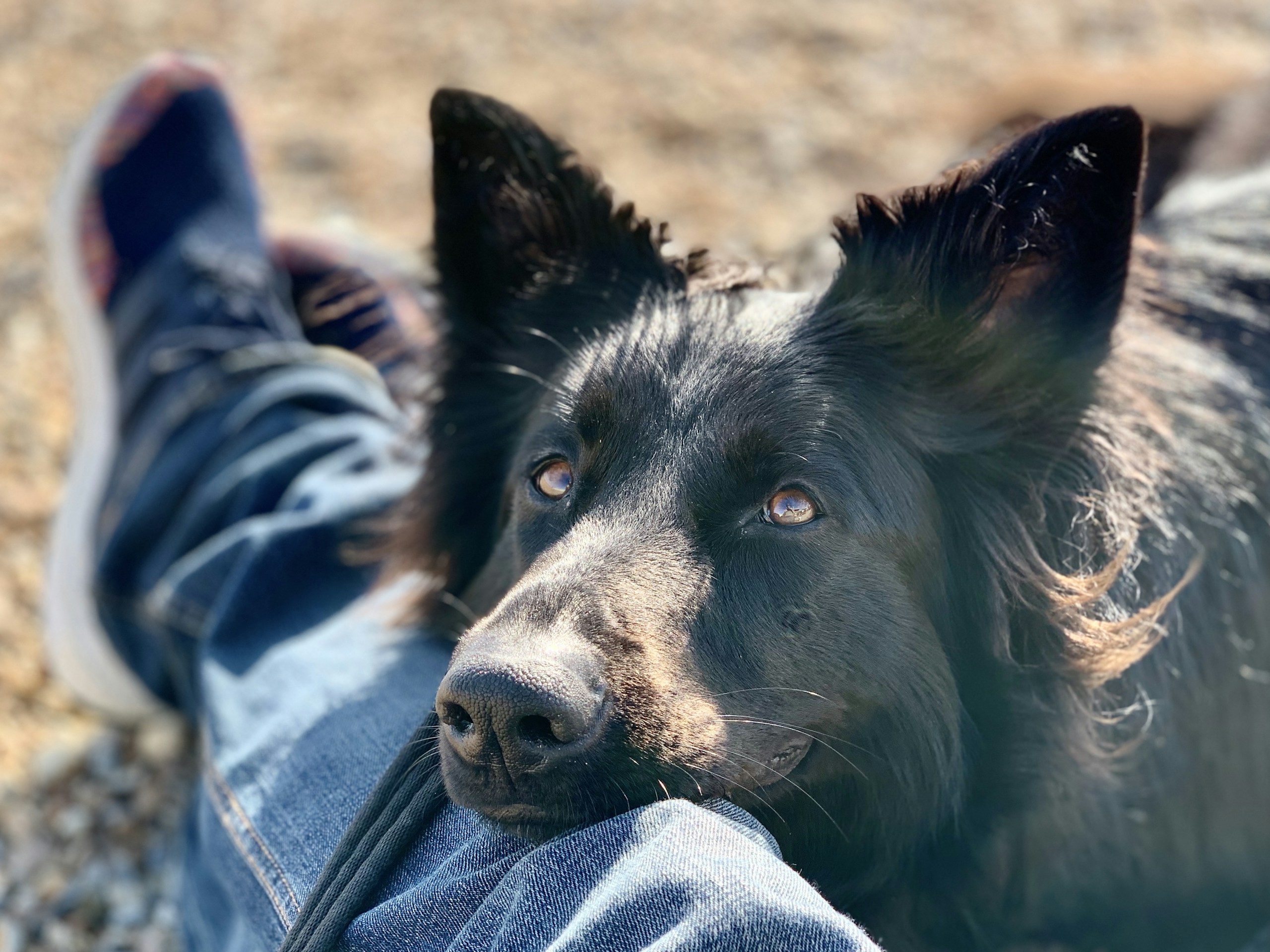 Graham Smith/Unsplash
