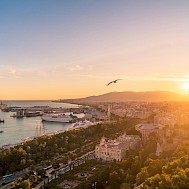 Willian Justen de Vasconcellos/Unsplash