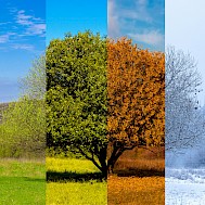 Sebastian_Photography/Shutterstock